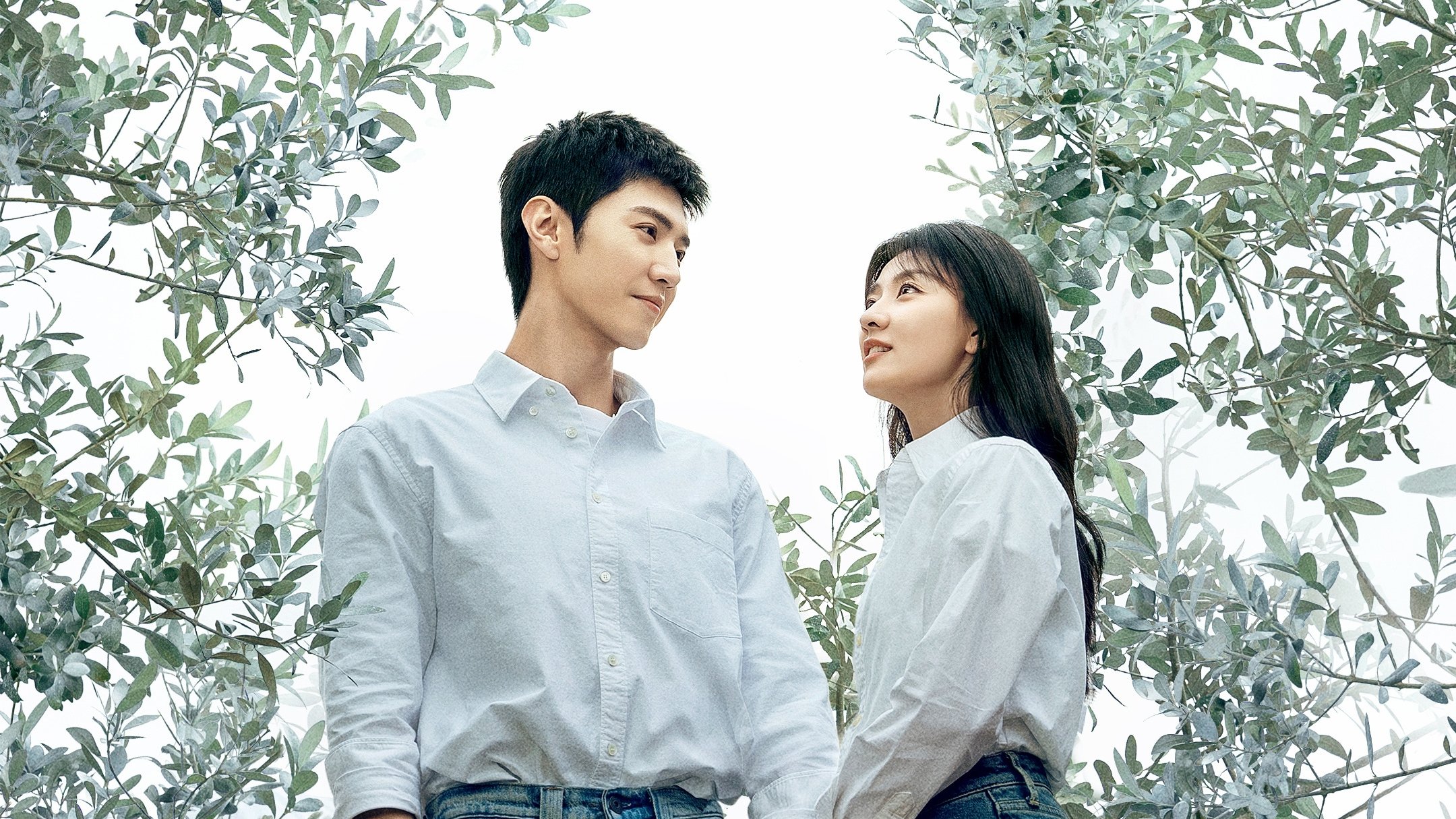 The White Olive Tree Background