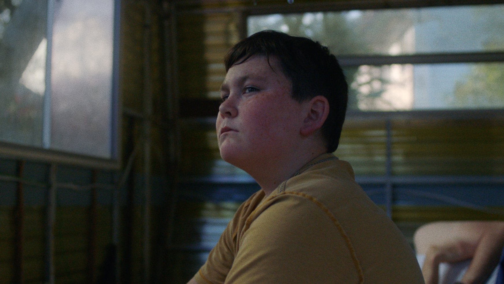 We Used to Own Houses Background