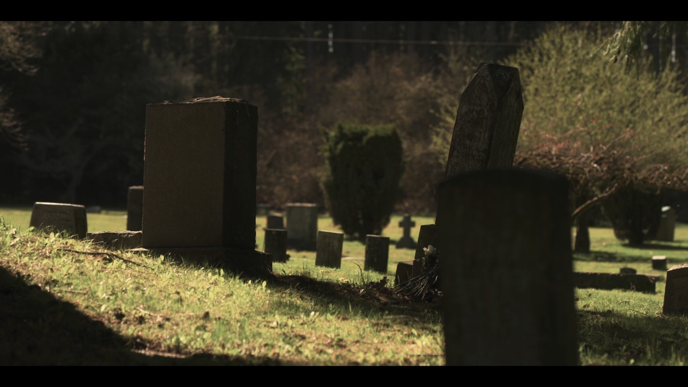 They Reach Background