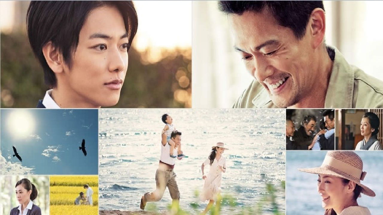 Black Kite Background