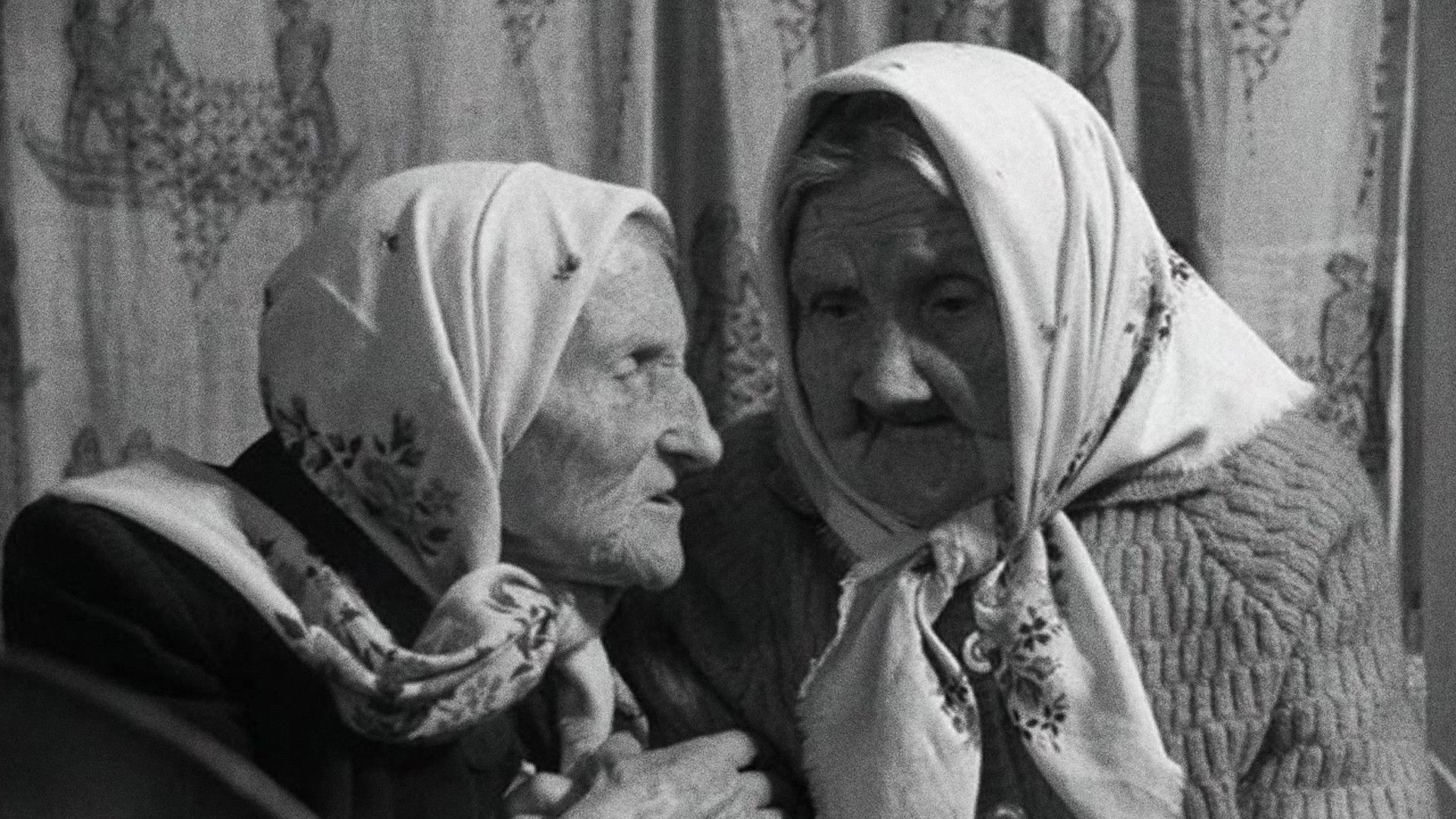 The Dreams of the Centenarians Background