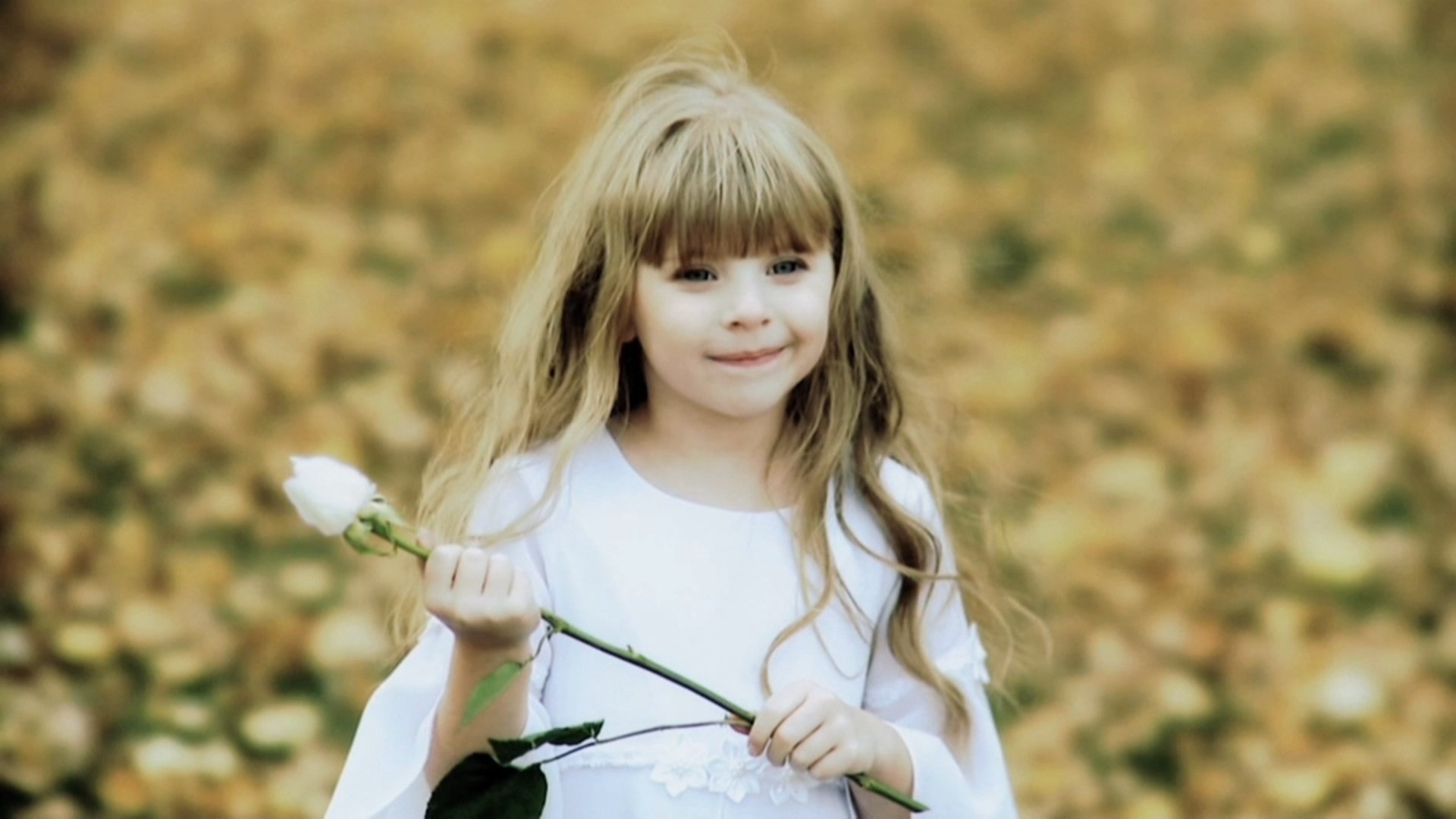 Elizabeth's Gift Background