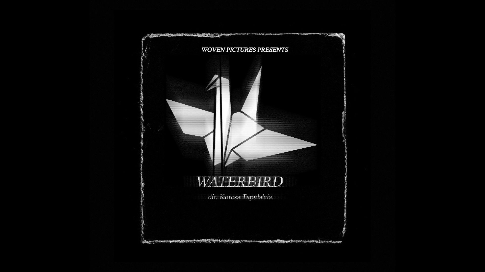 Waterbird Background