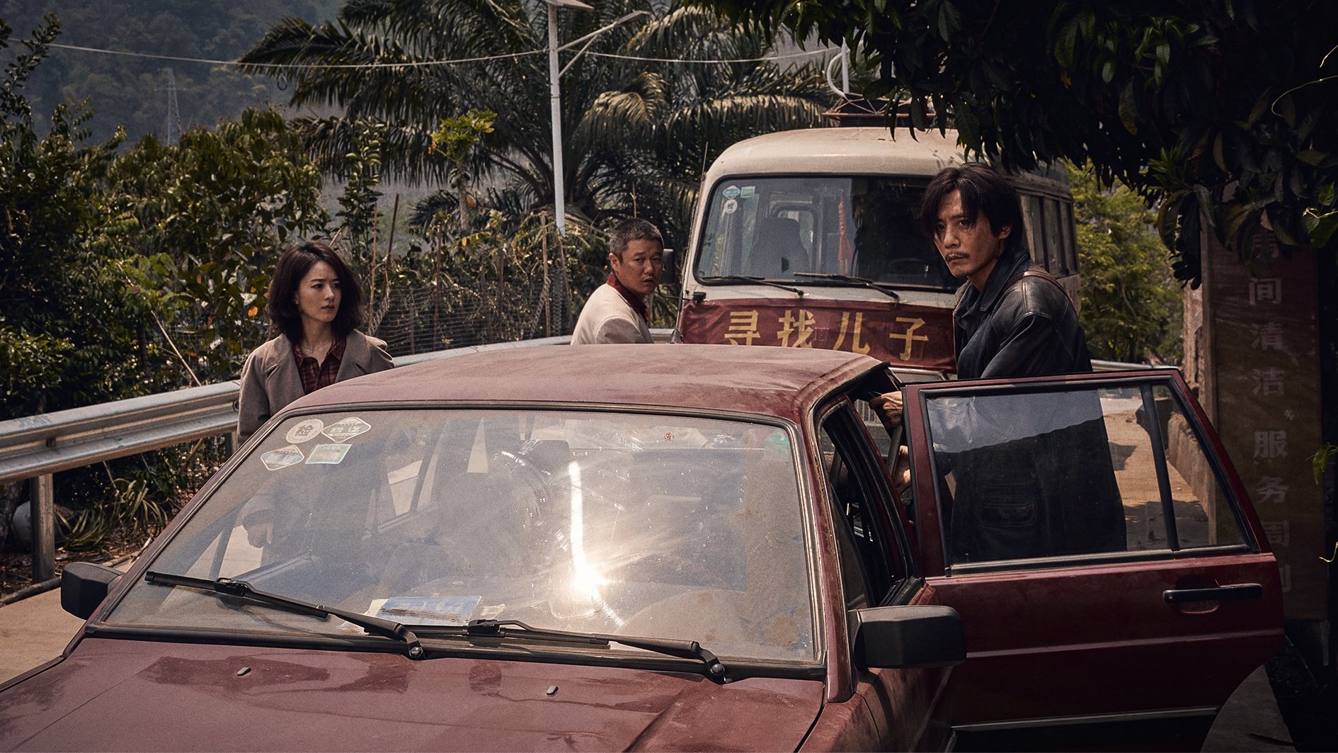 Tiger Wolf Rabbit Background