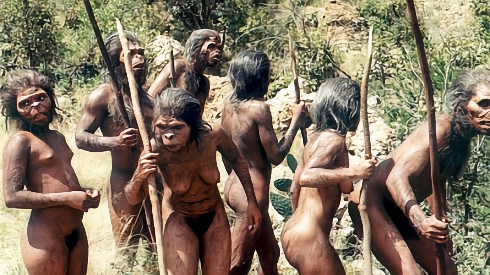 A Species Odyssey Background