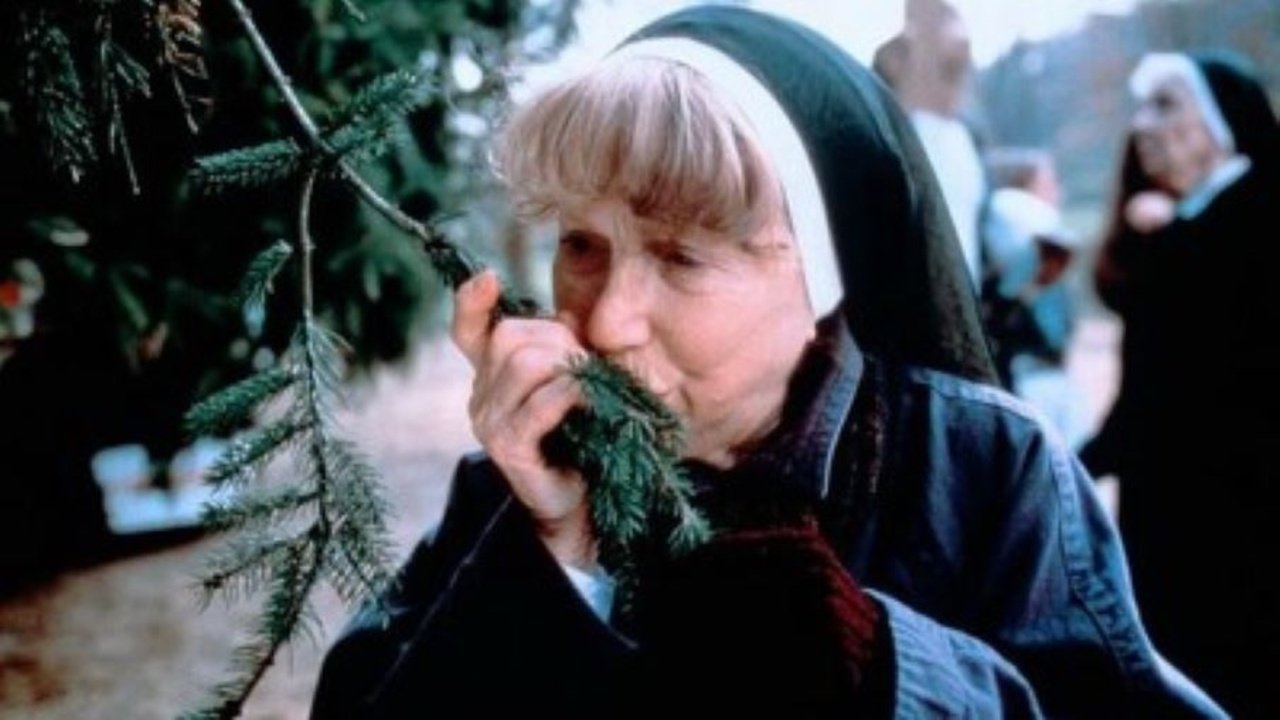 The Christmas Tree Background