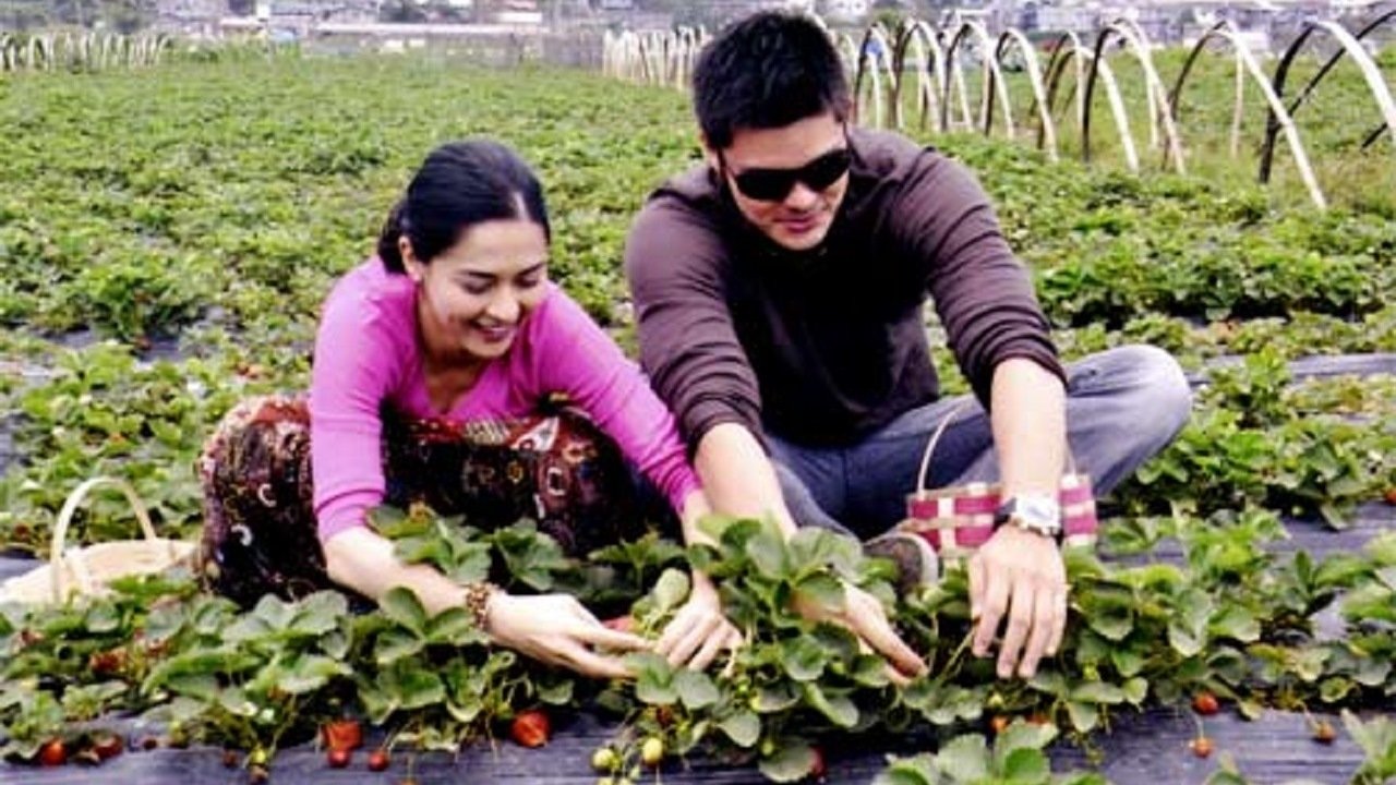 You to Me Are Everything Background