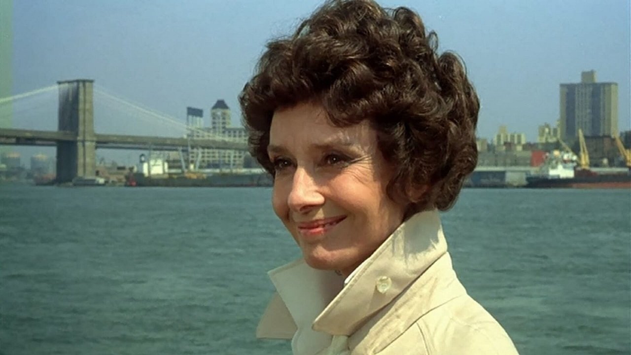 They All Laughed Background