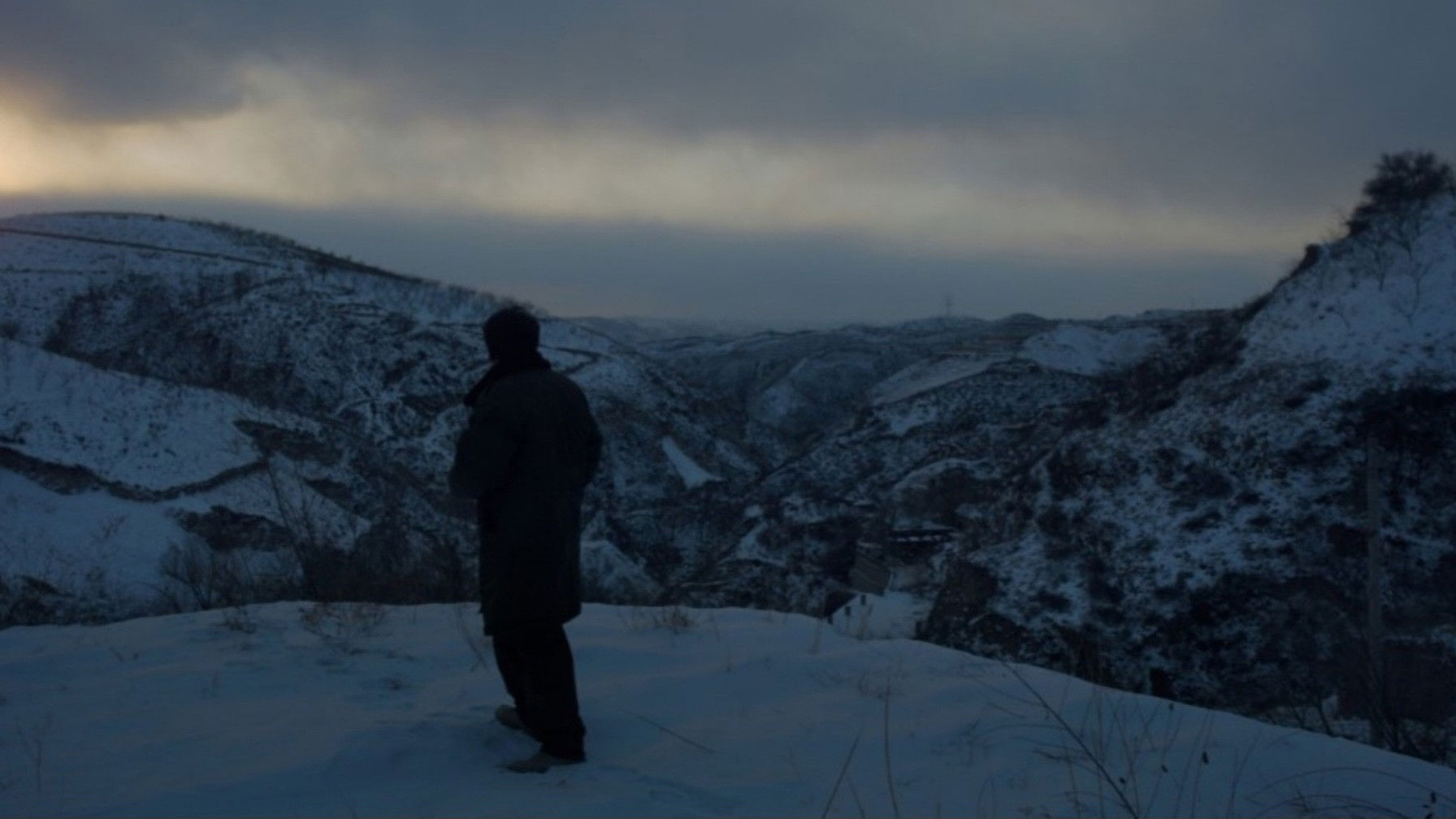 Three Castrated Goats Background