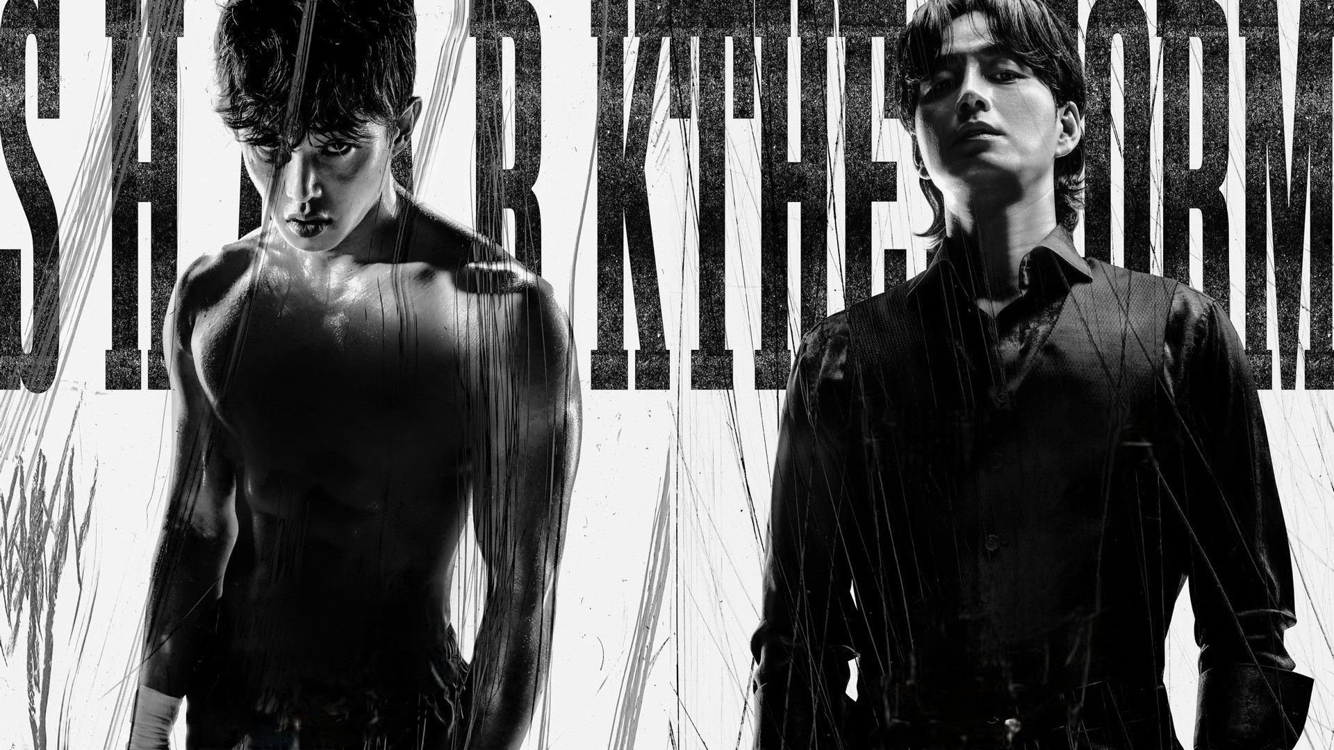 Shark: The Storm Background