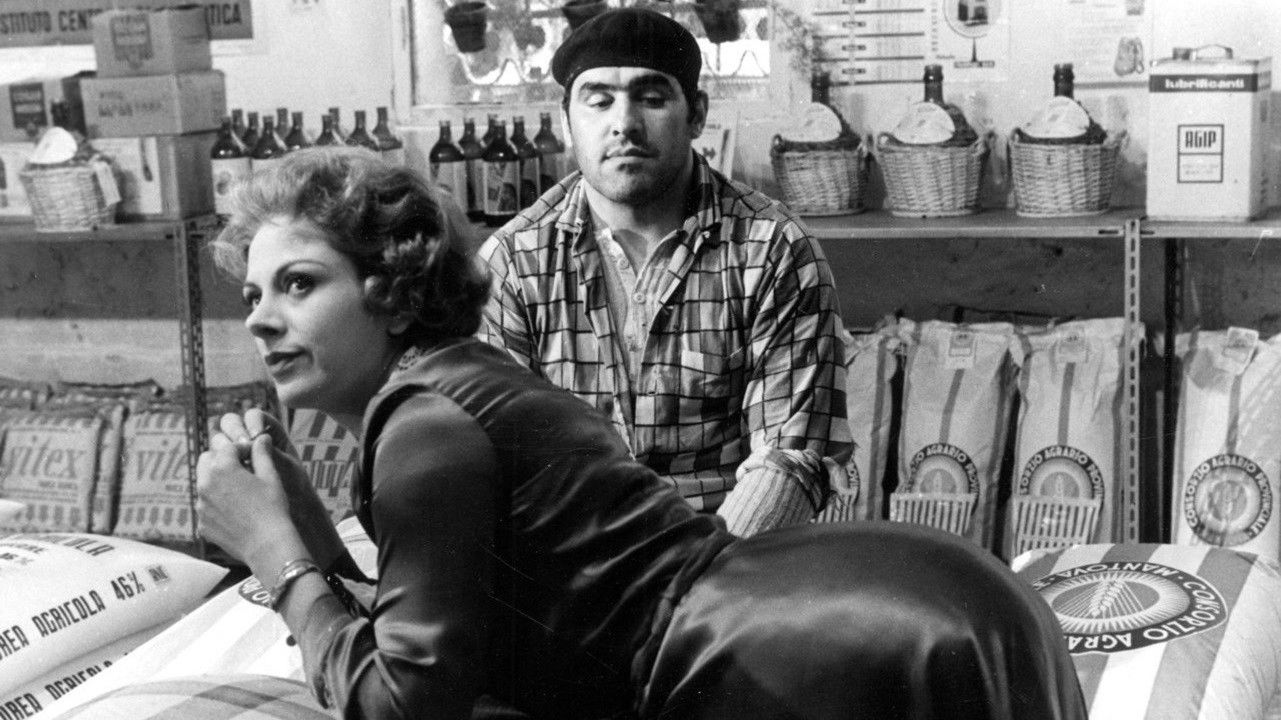 The Visitor Background