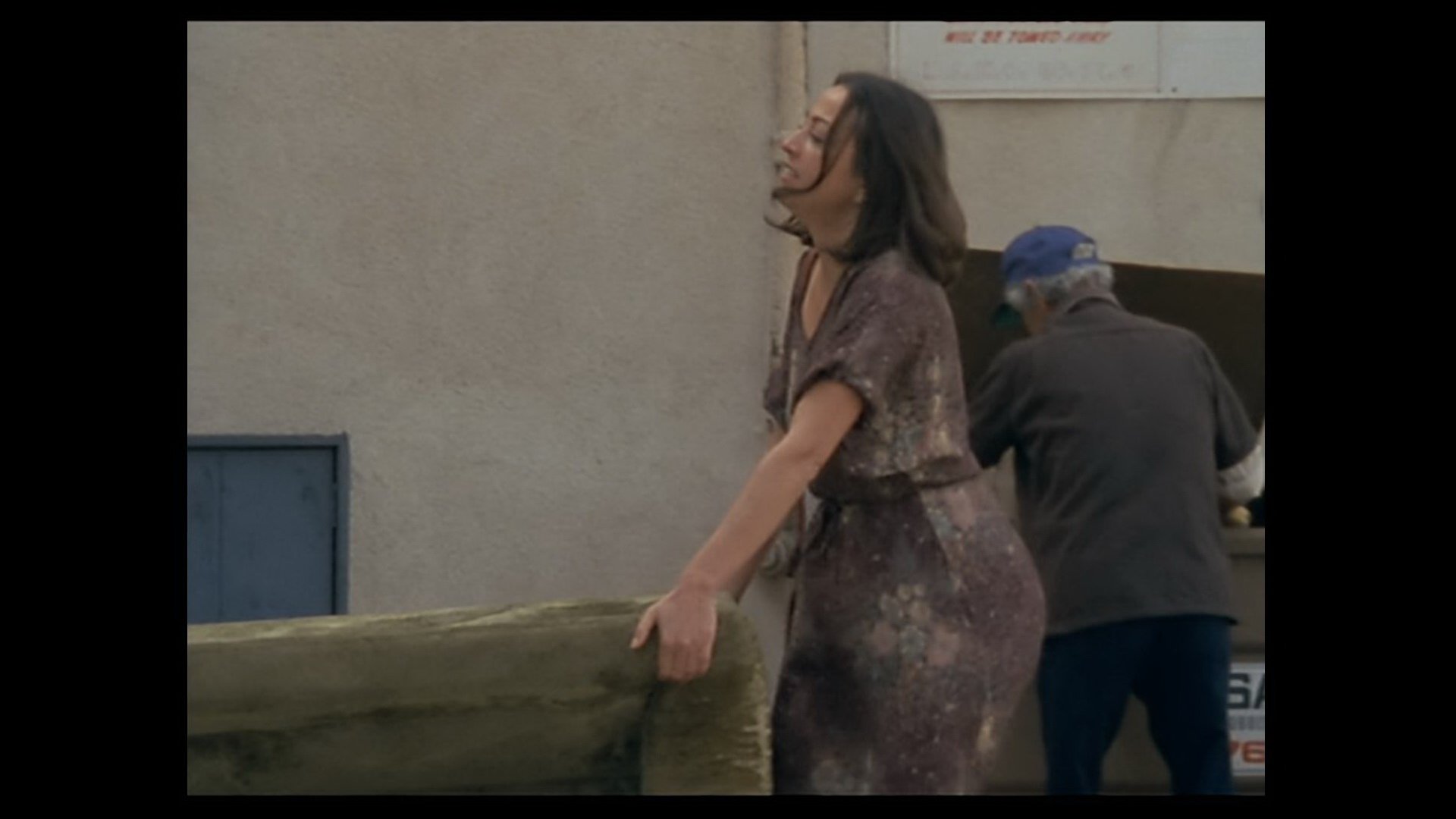 The Gleaners and I: Two Years Later Background