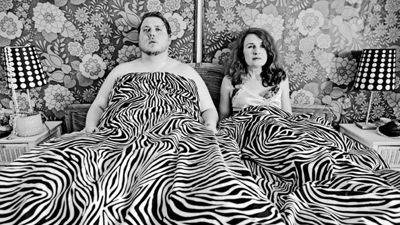 Dark Horse Background