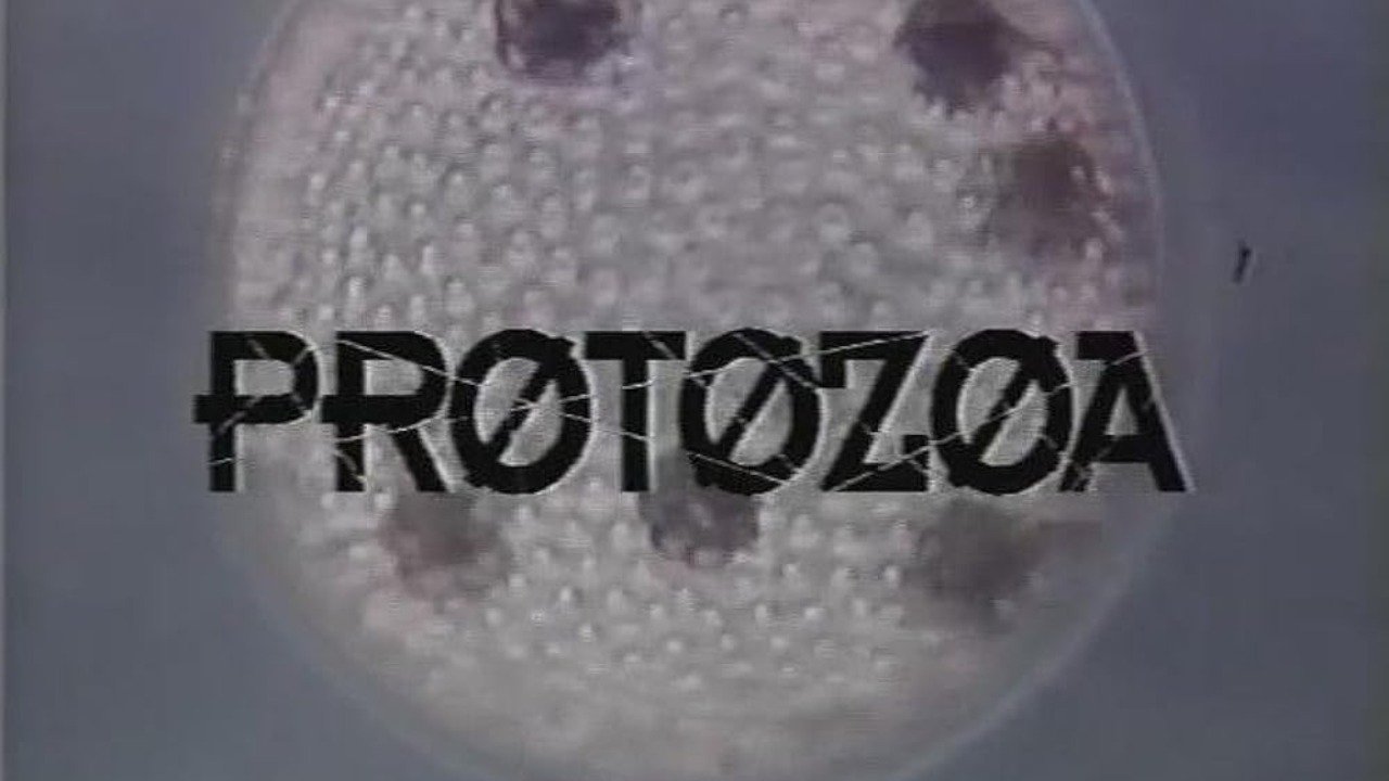 Protozoa Background