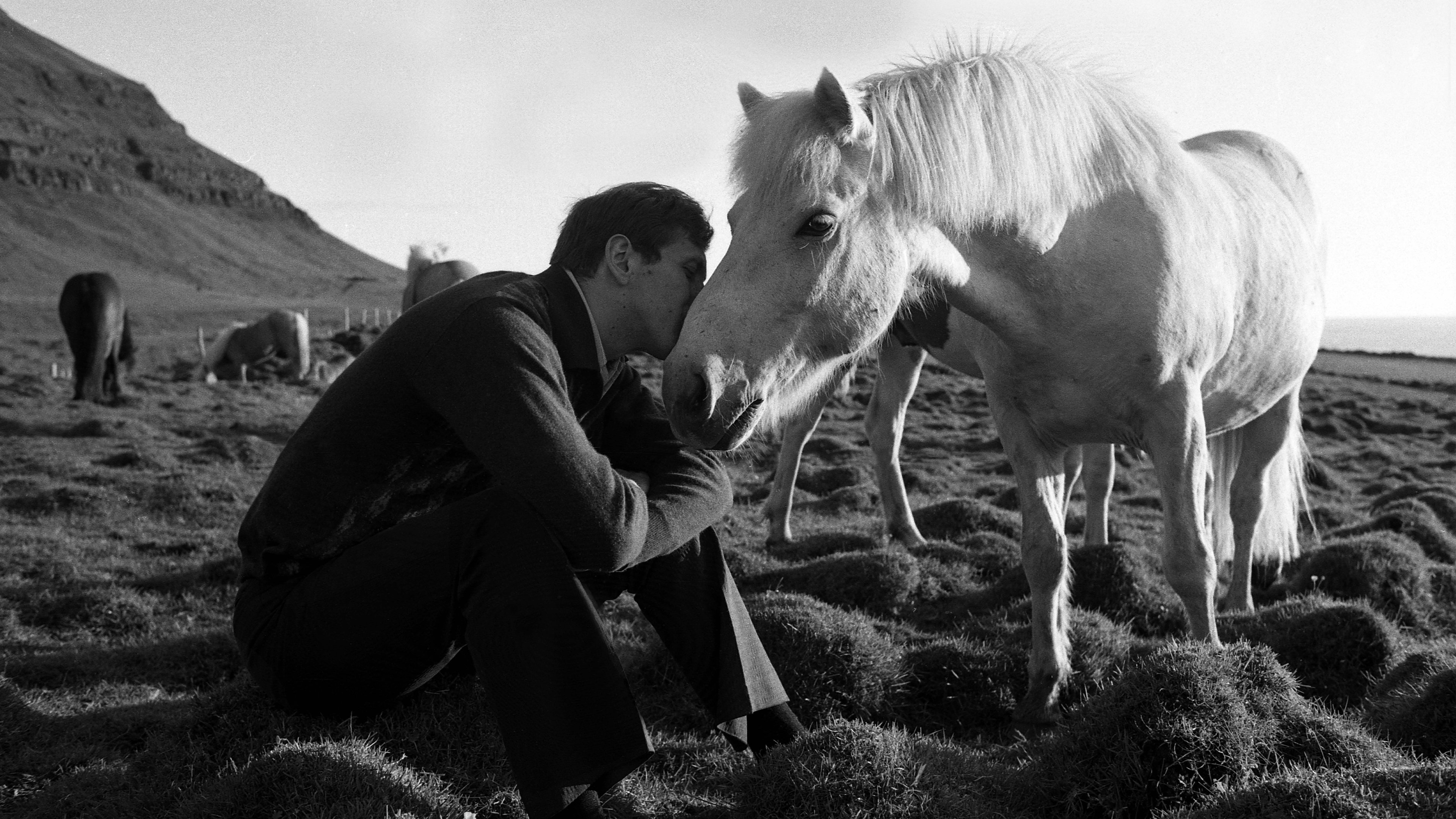 Bobby Fischer Against the World Background