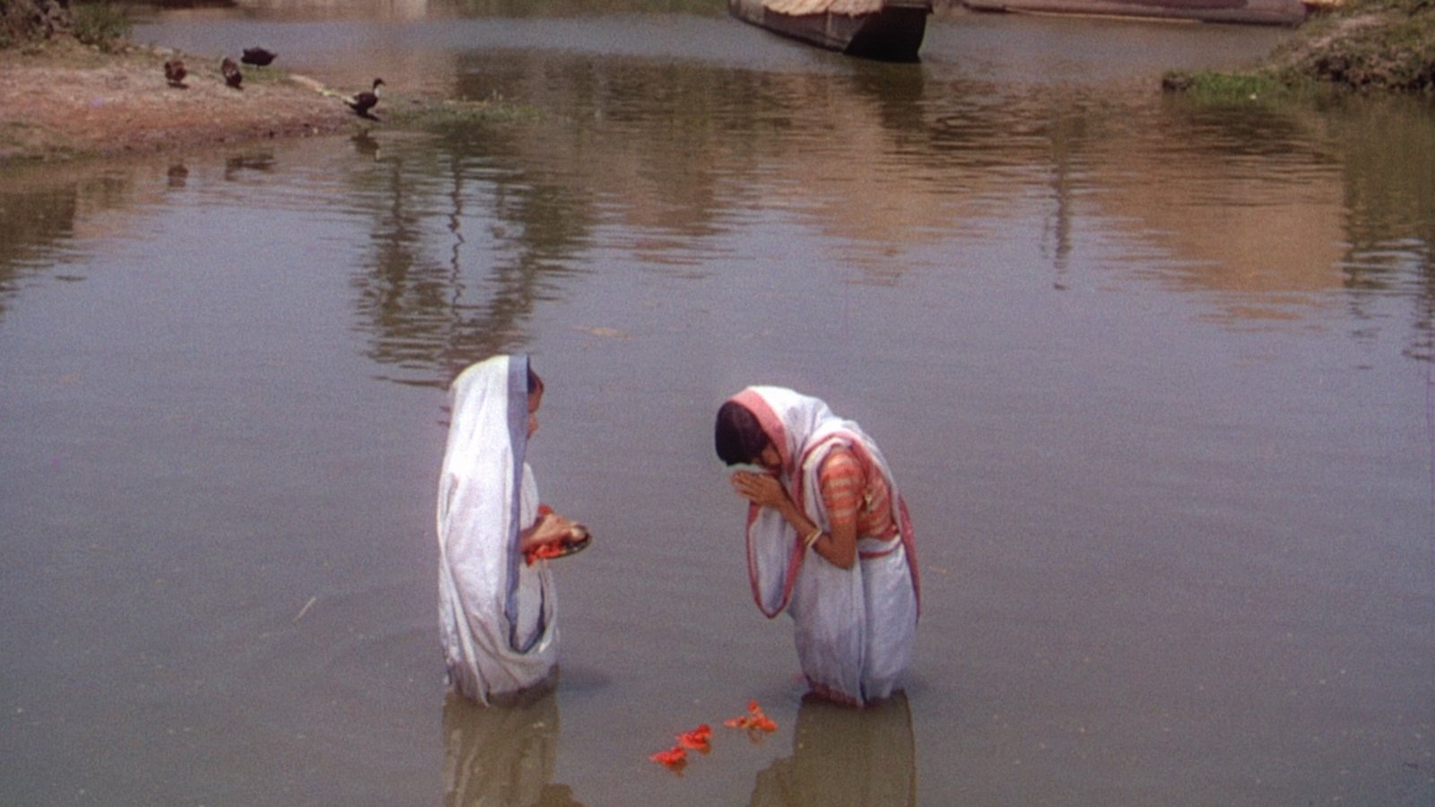 The River Background