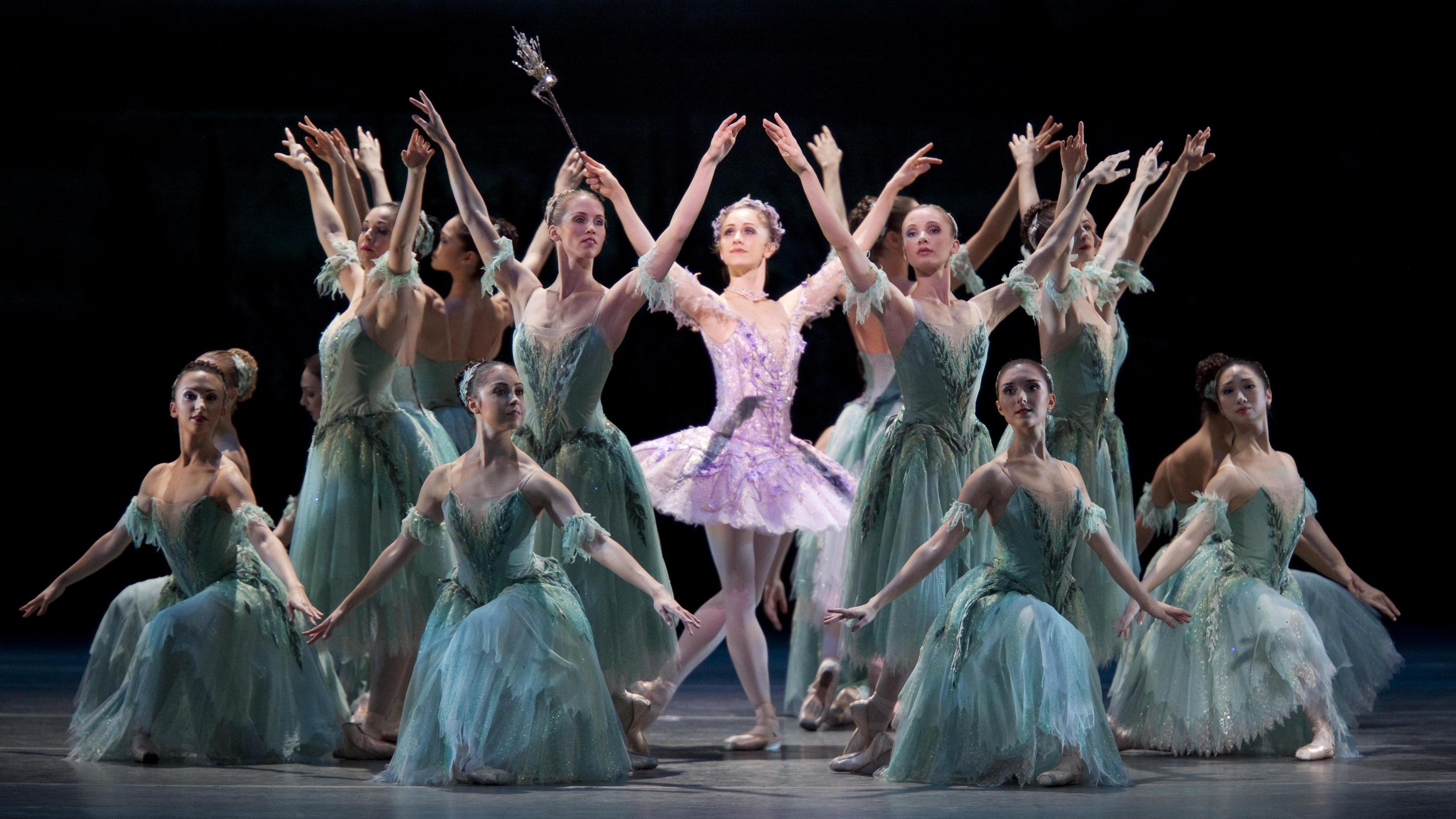 The Sleeping Beauty Background