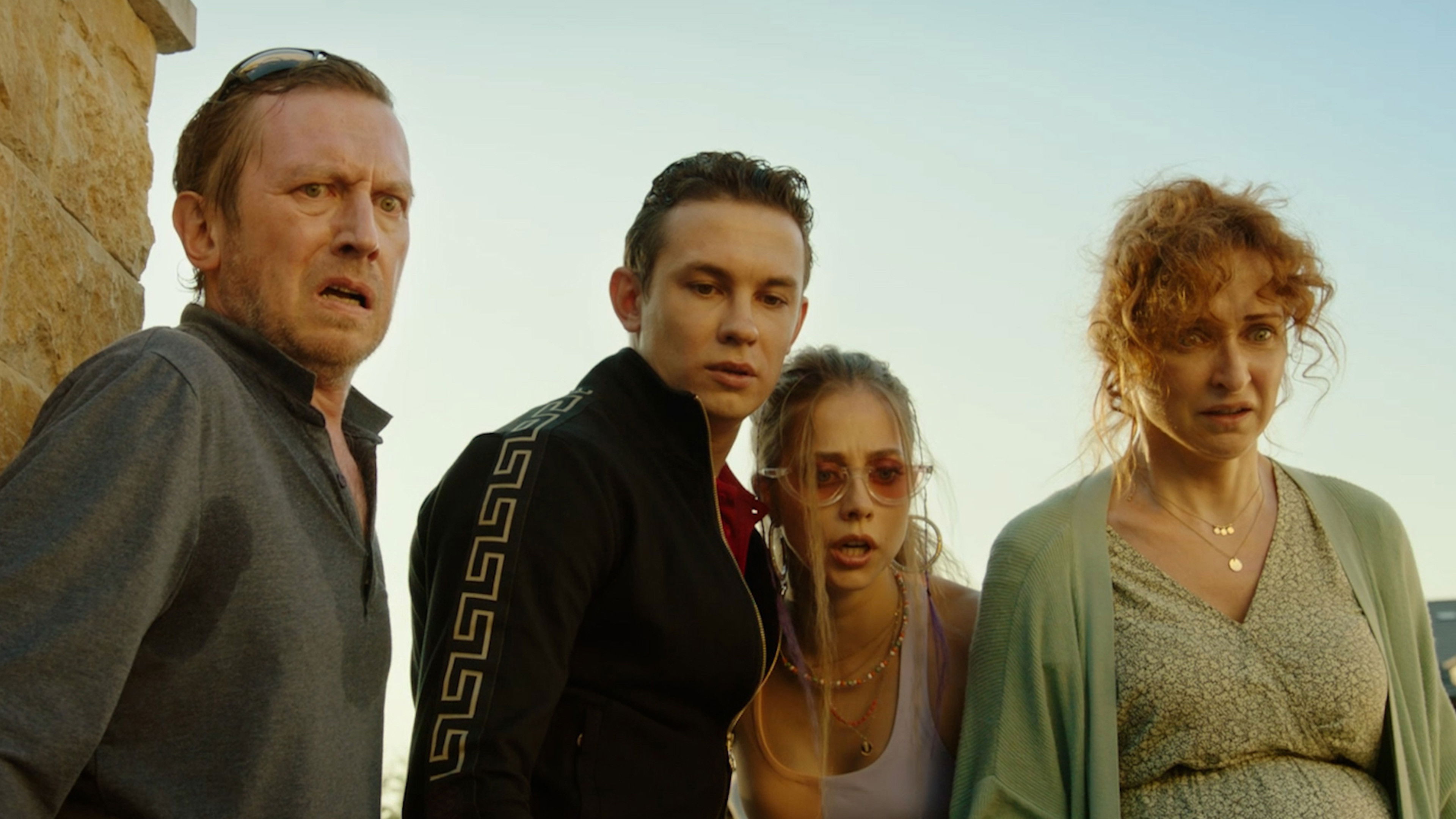 Desperate Shareholders Background