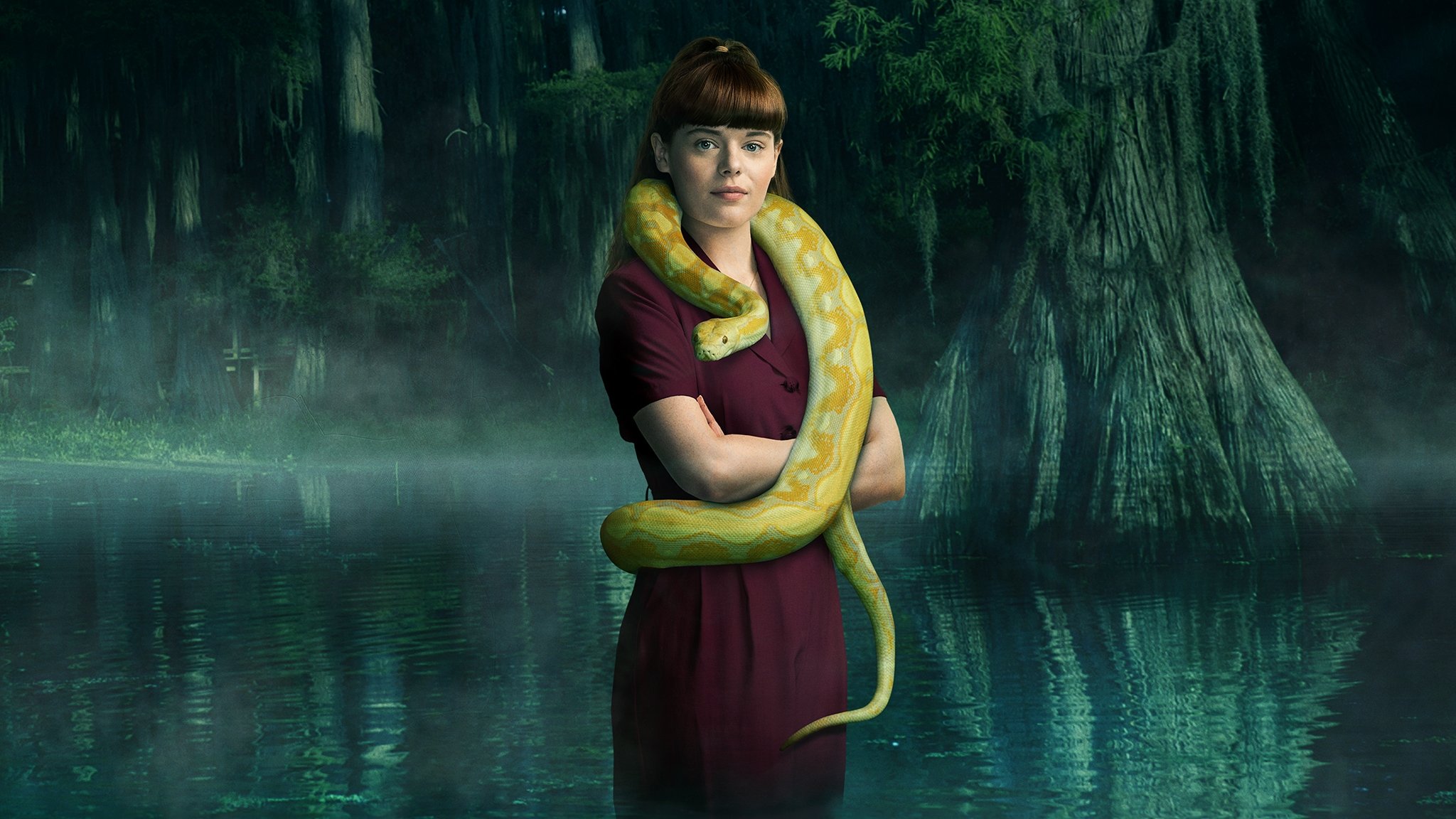 V.C. Andrews' Hidden Jewel Background