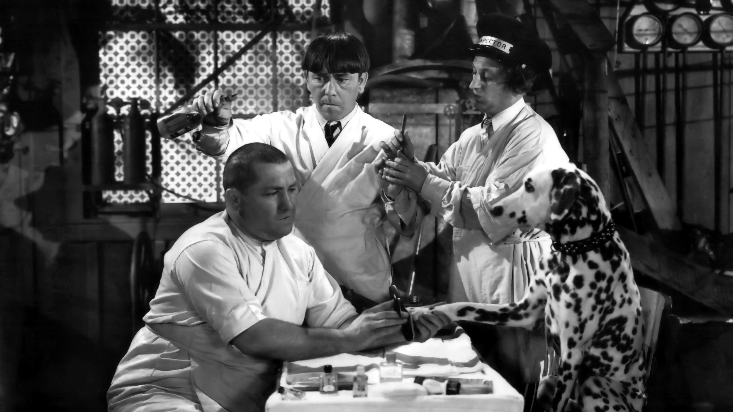 Mutts to You Background