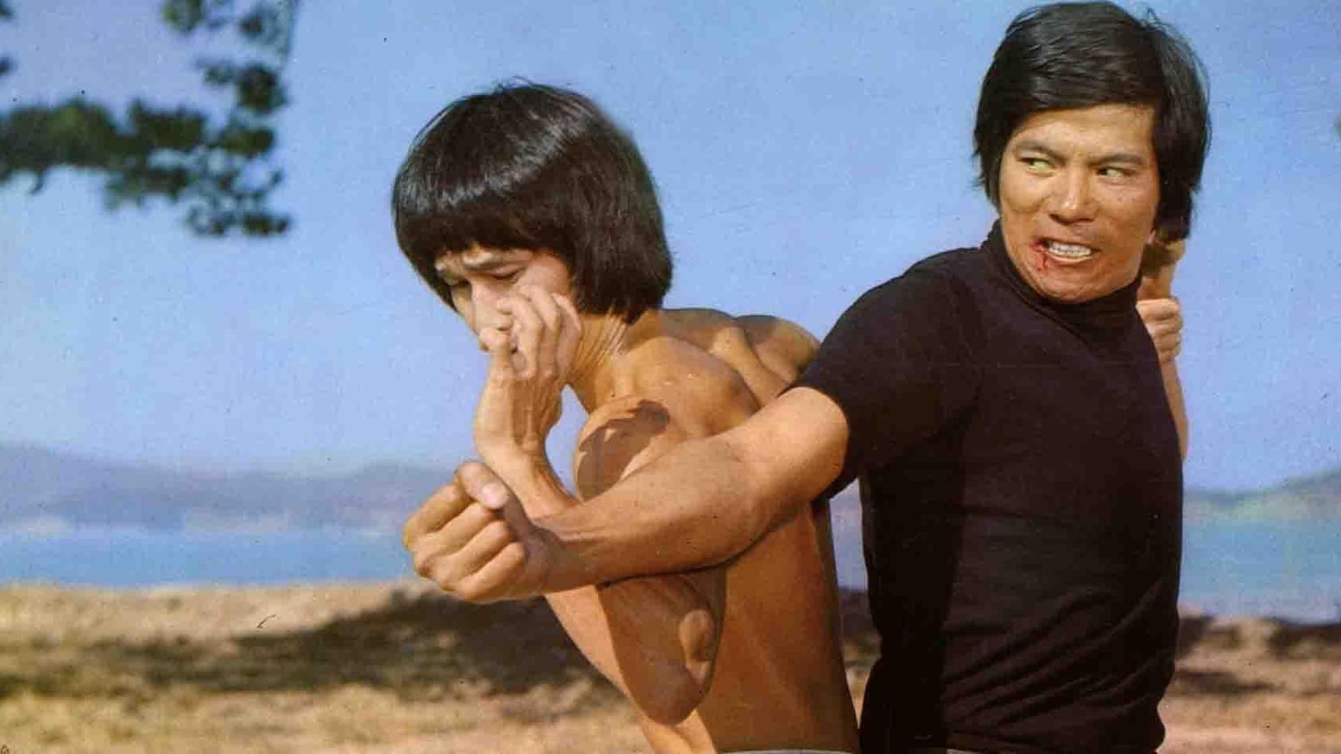 My Name Called Bruce Background