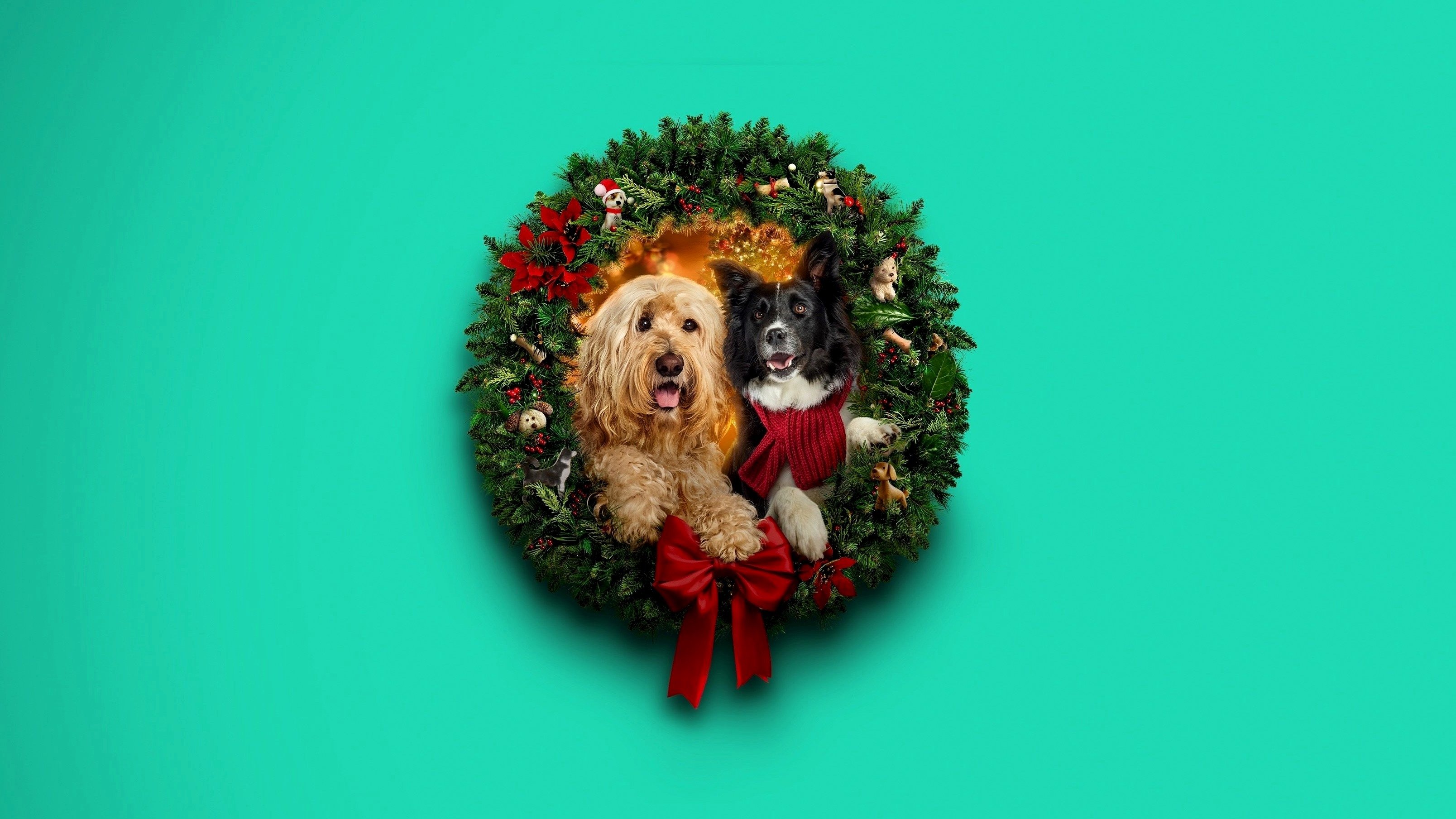 Happy Howlidays Background