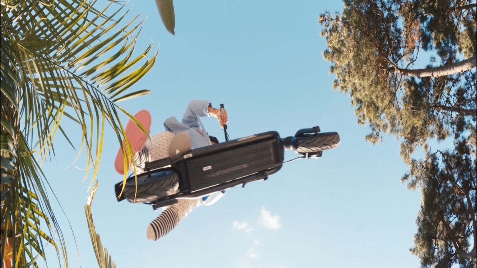 Live and let live Background