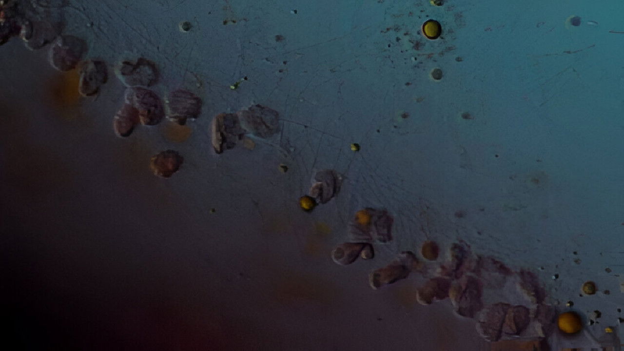 12 Kilometers Background