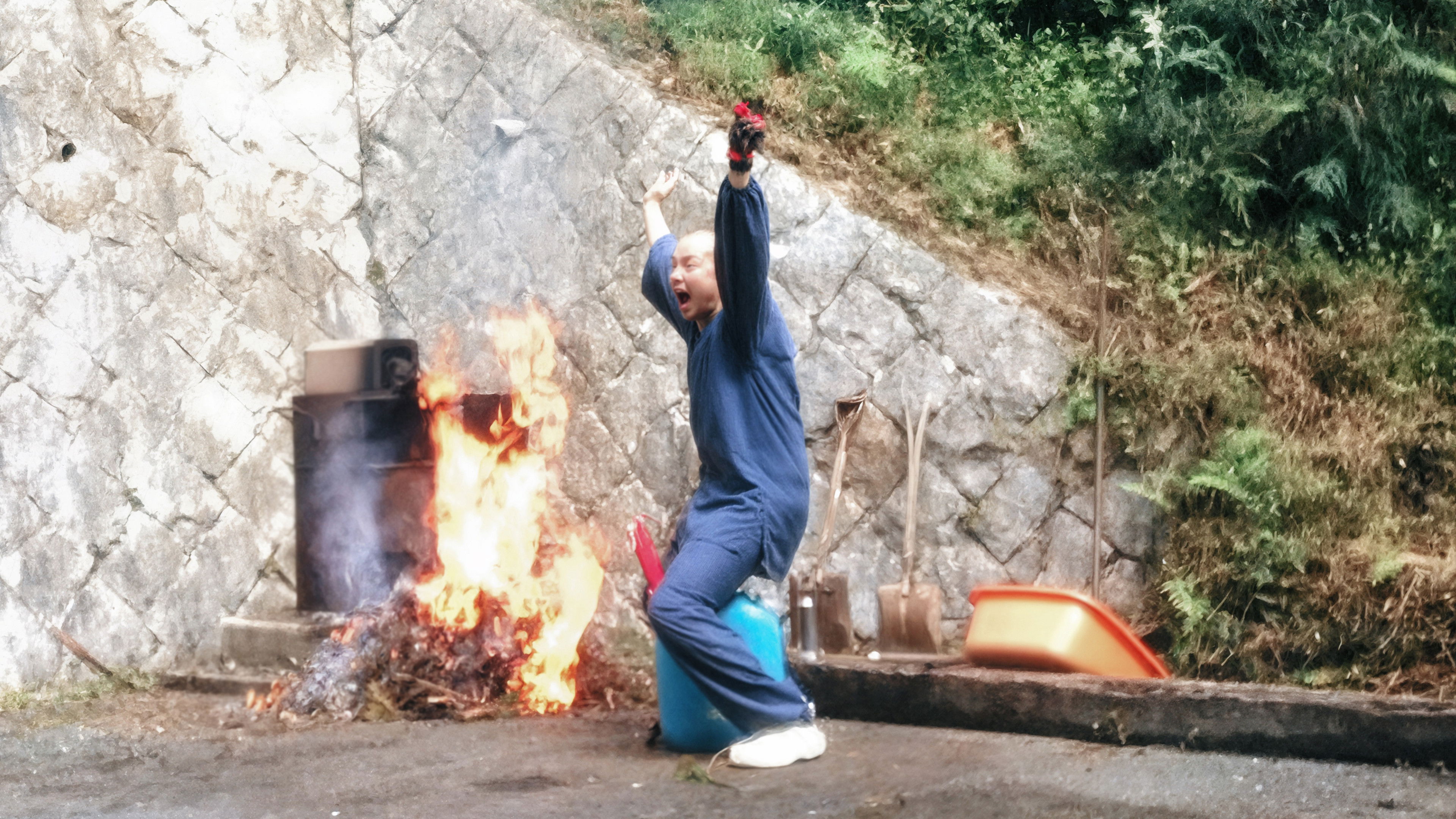 Crows Are White Background