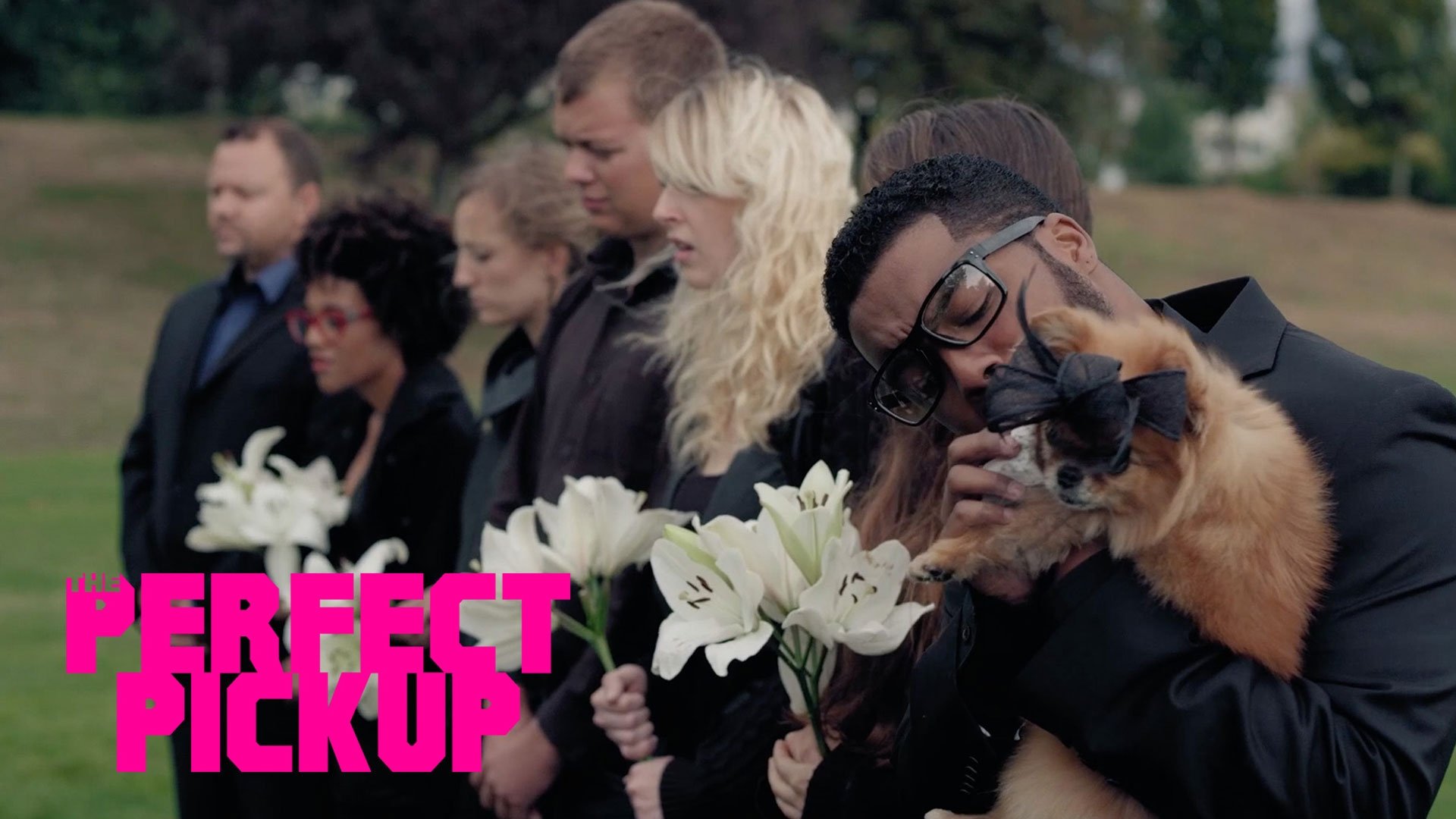 The Perfect Pickup Background