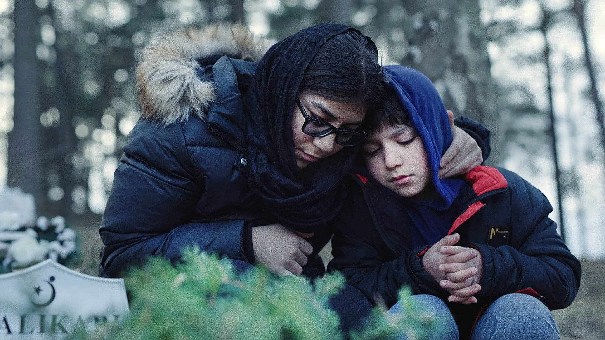 Silent Trees Background