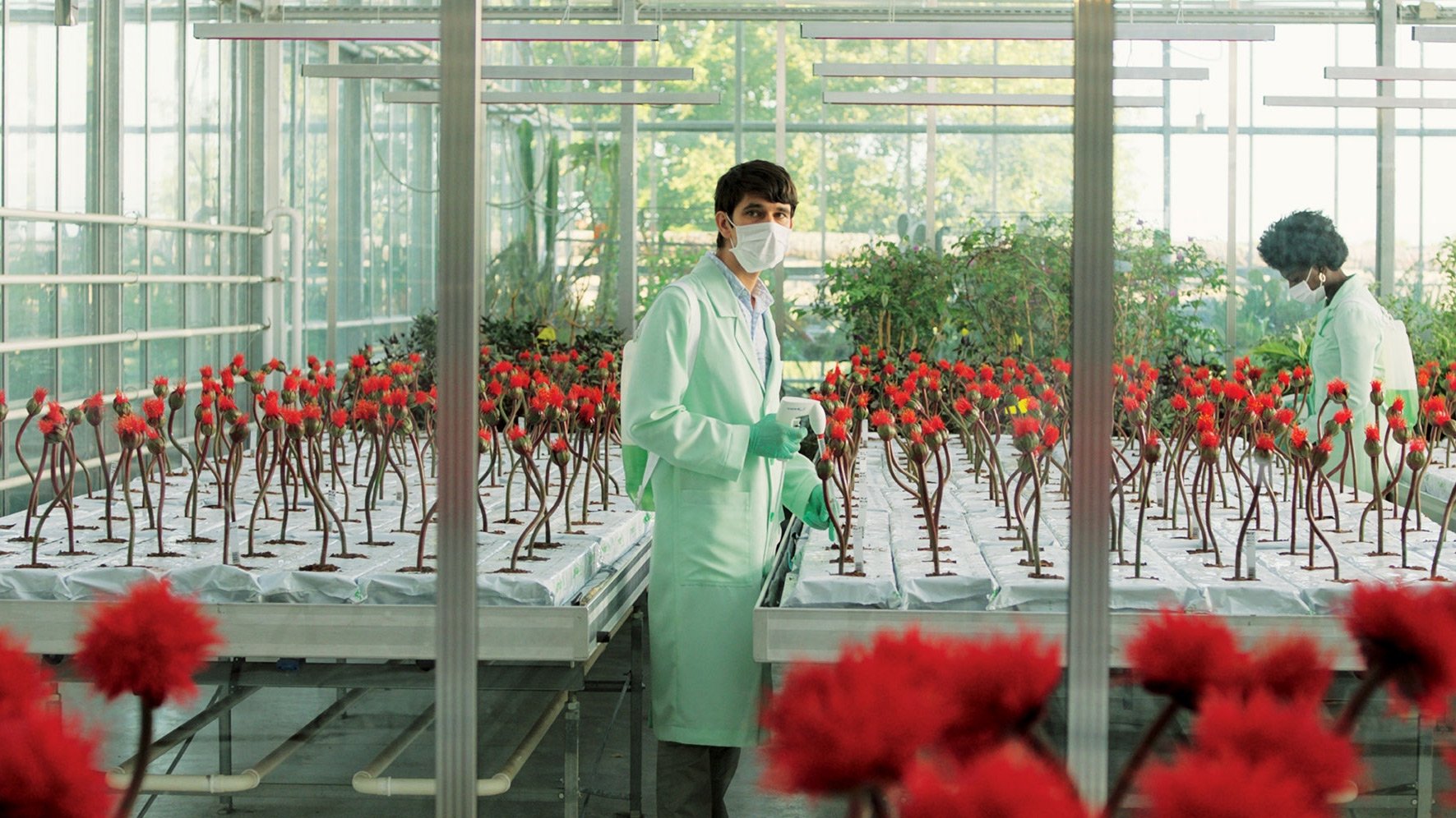 Little Joe Background