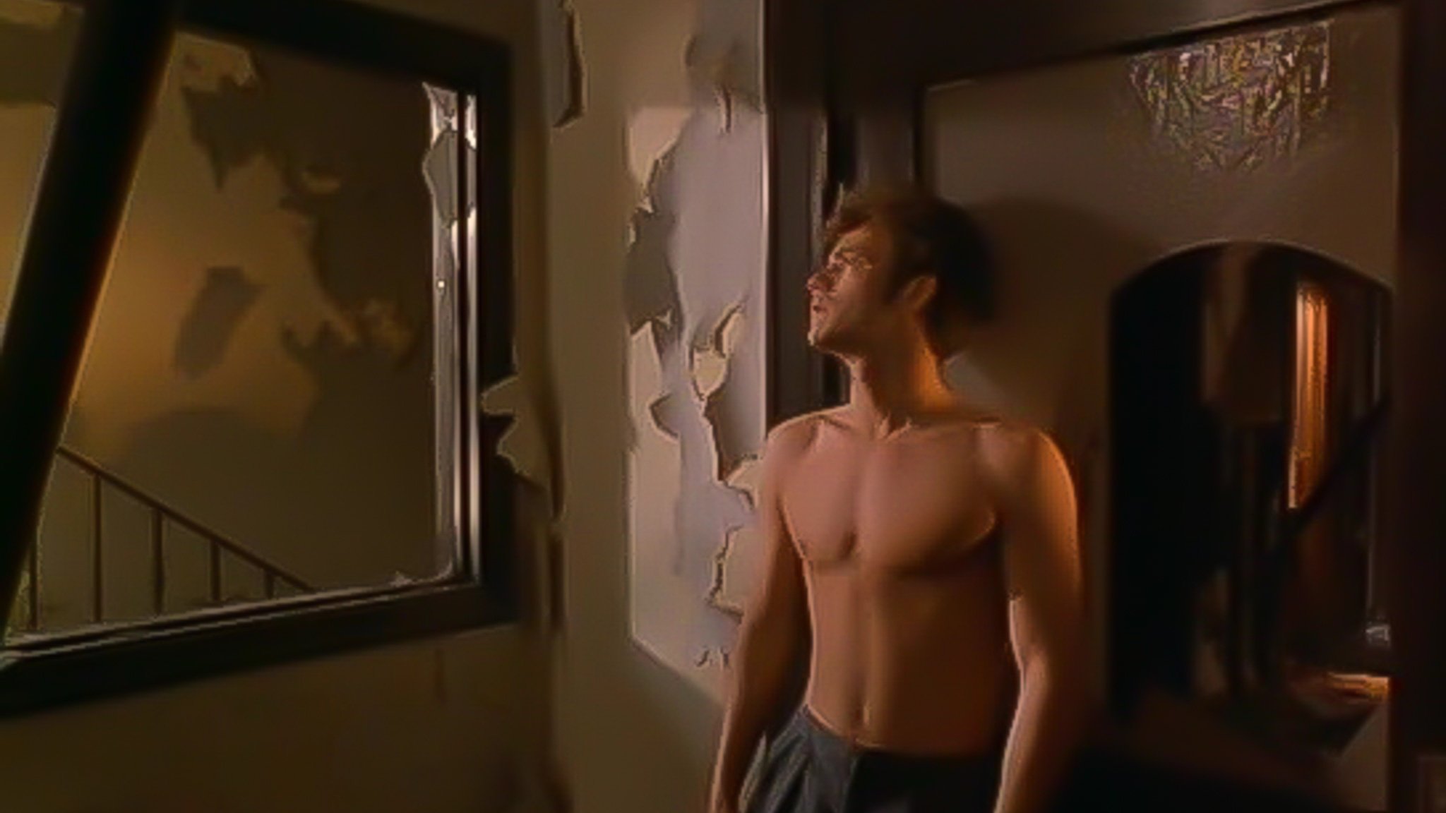 American Strays Background