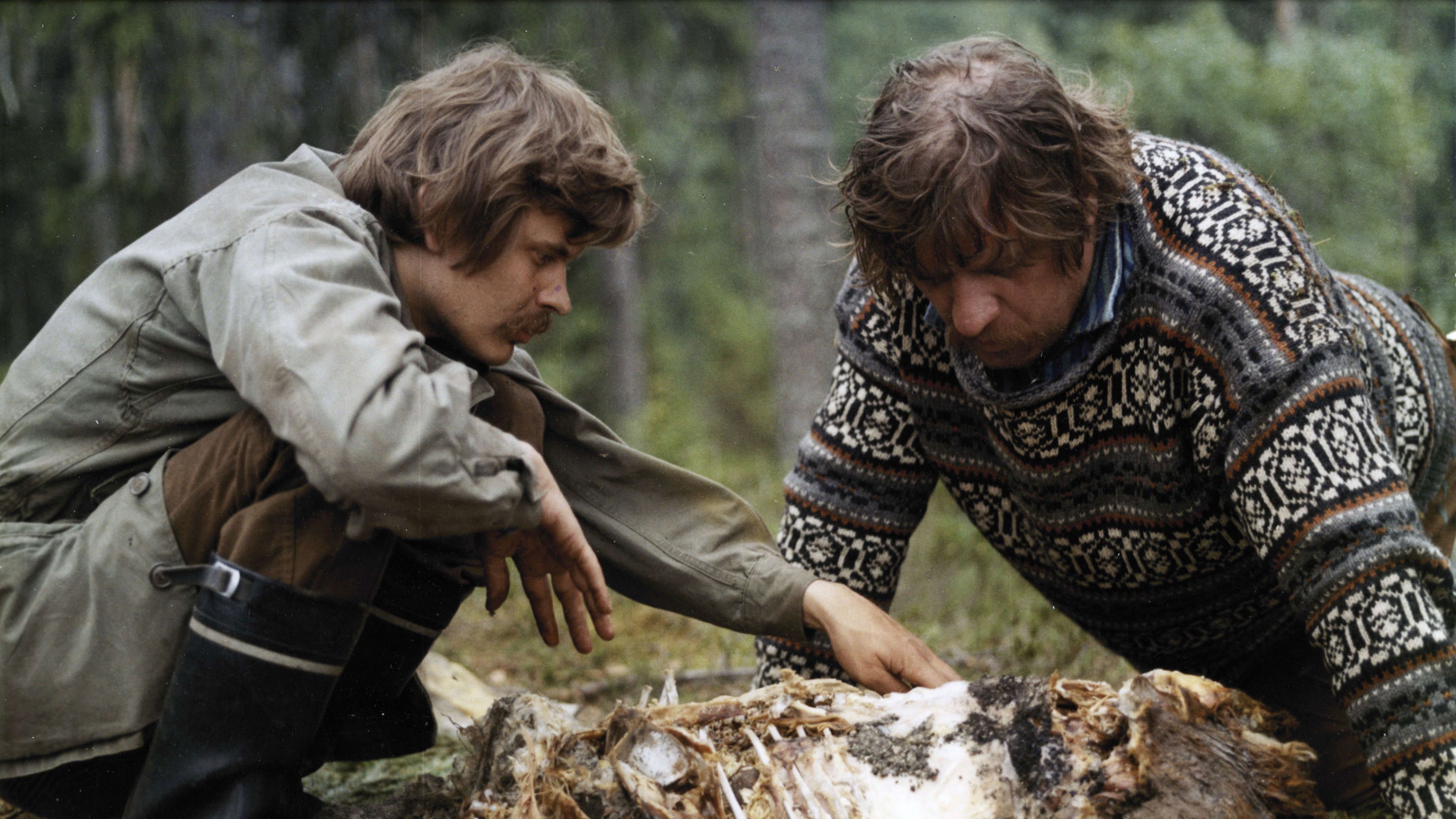 Lampaansyöjät Background