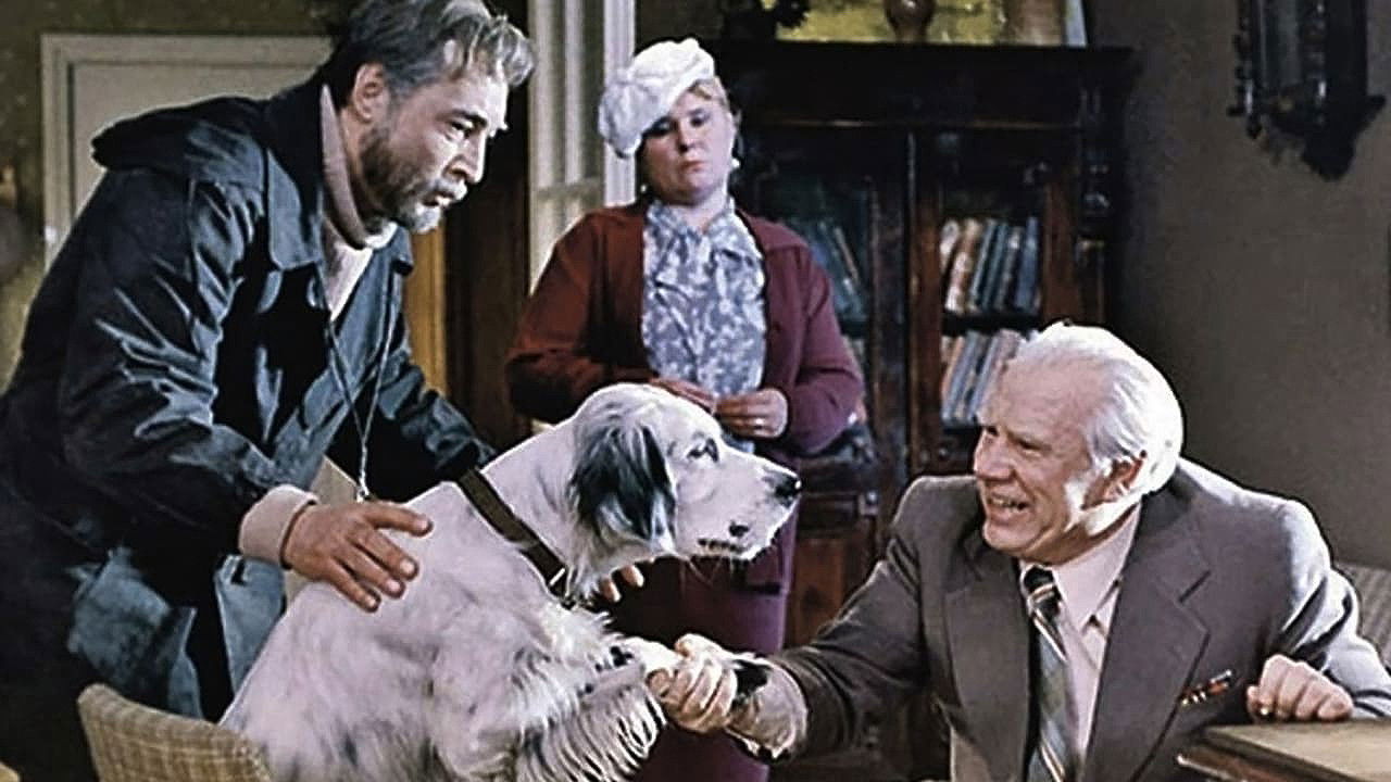 White Bim Black Ear Background