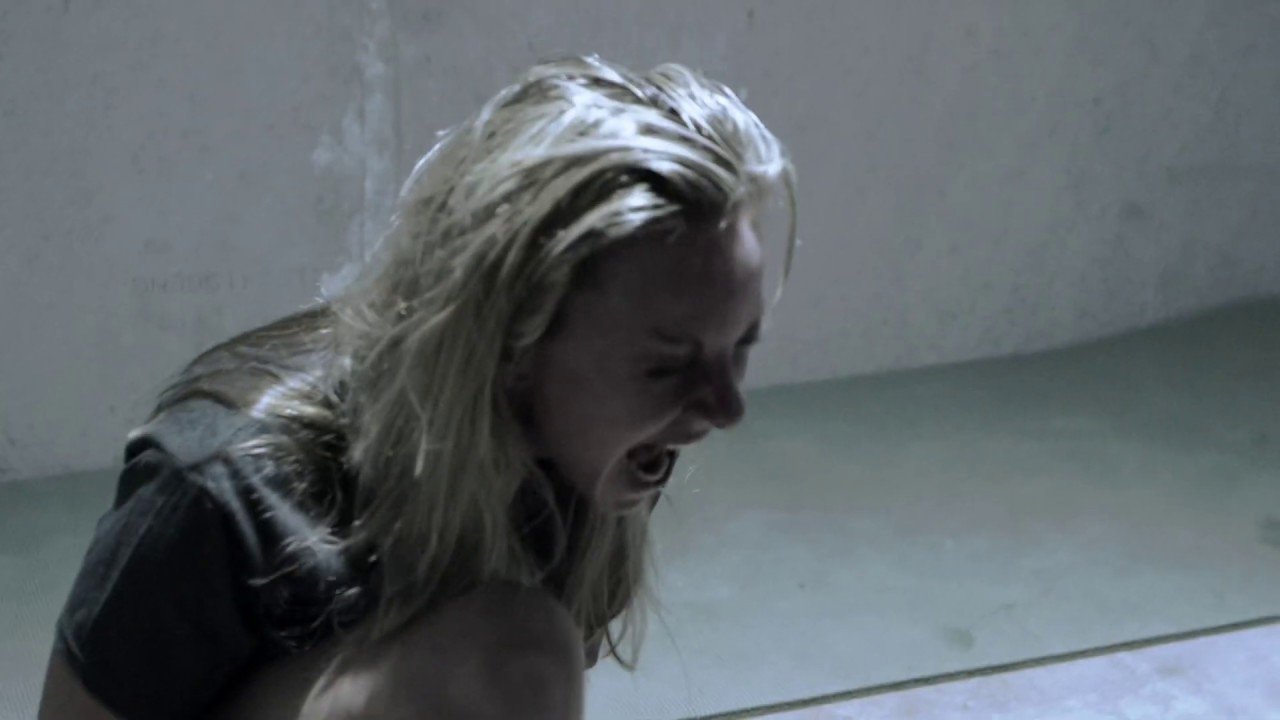 Human Zoo Background