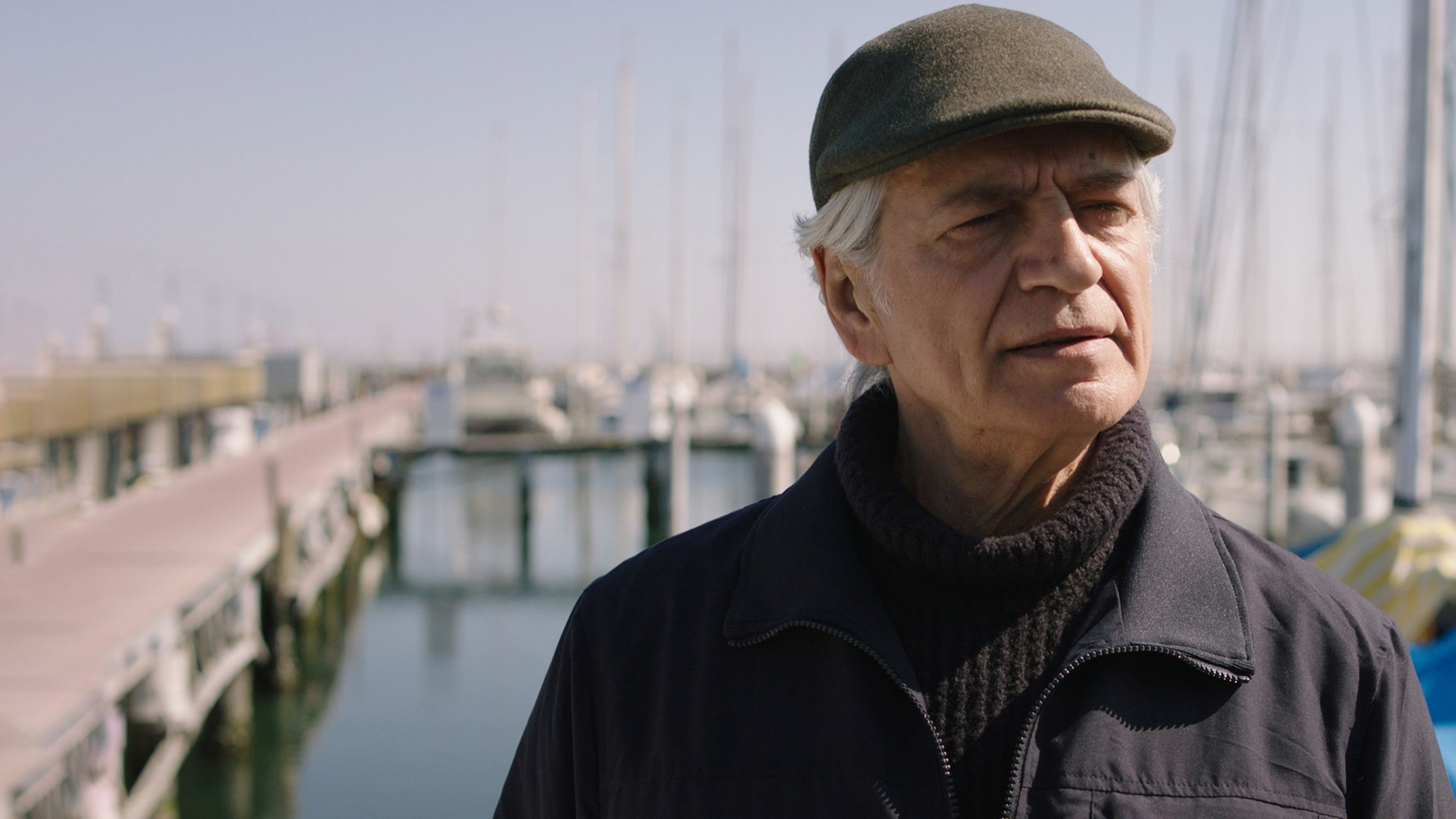 Raul Gardini Background