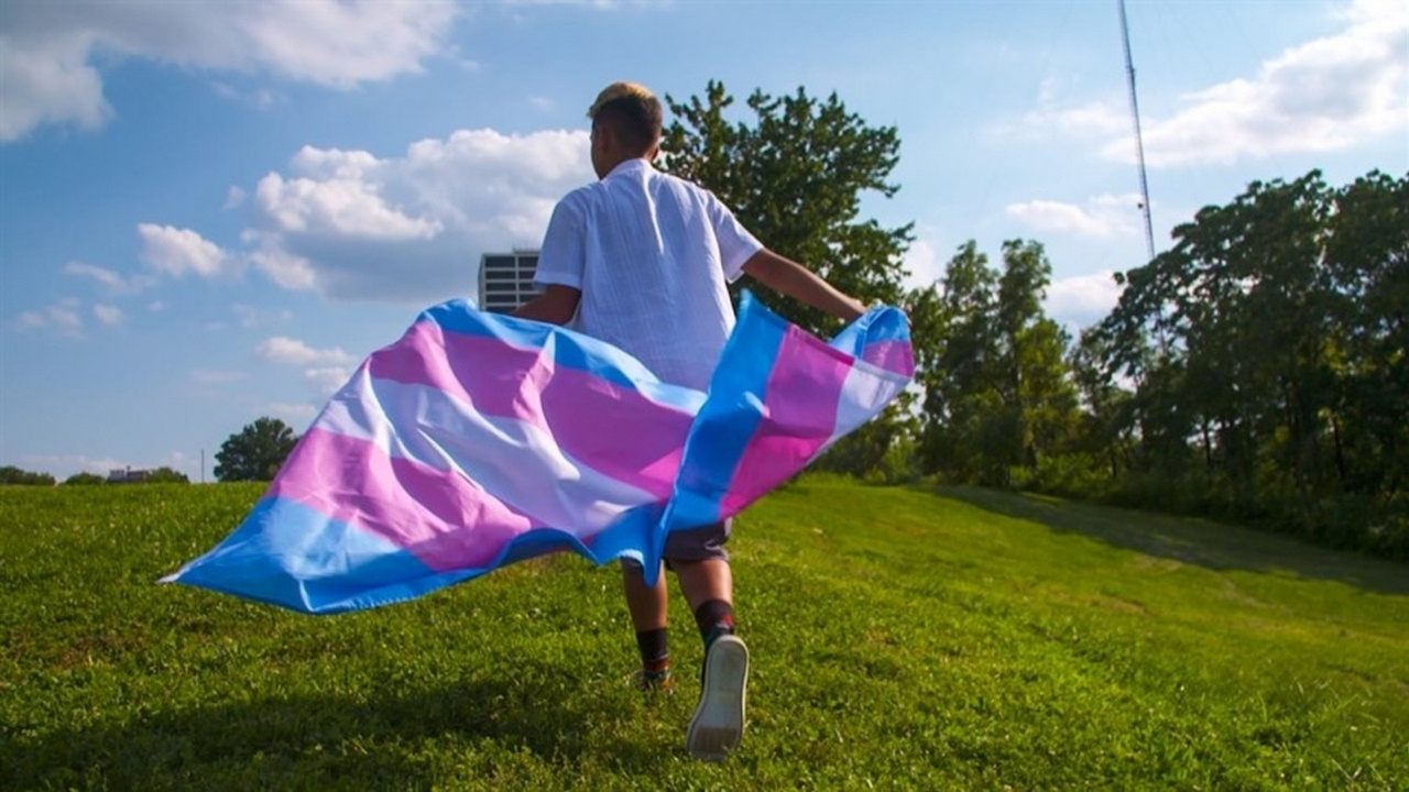 Transhood Background