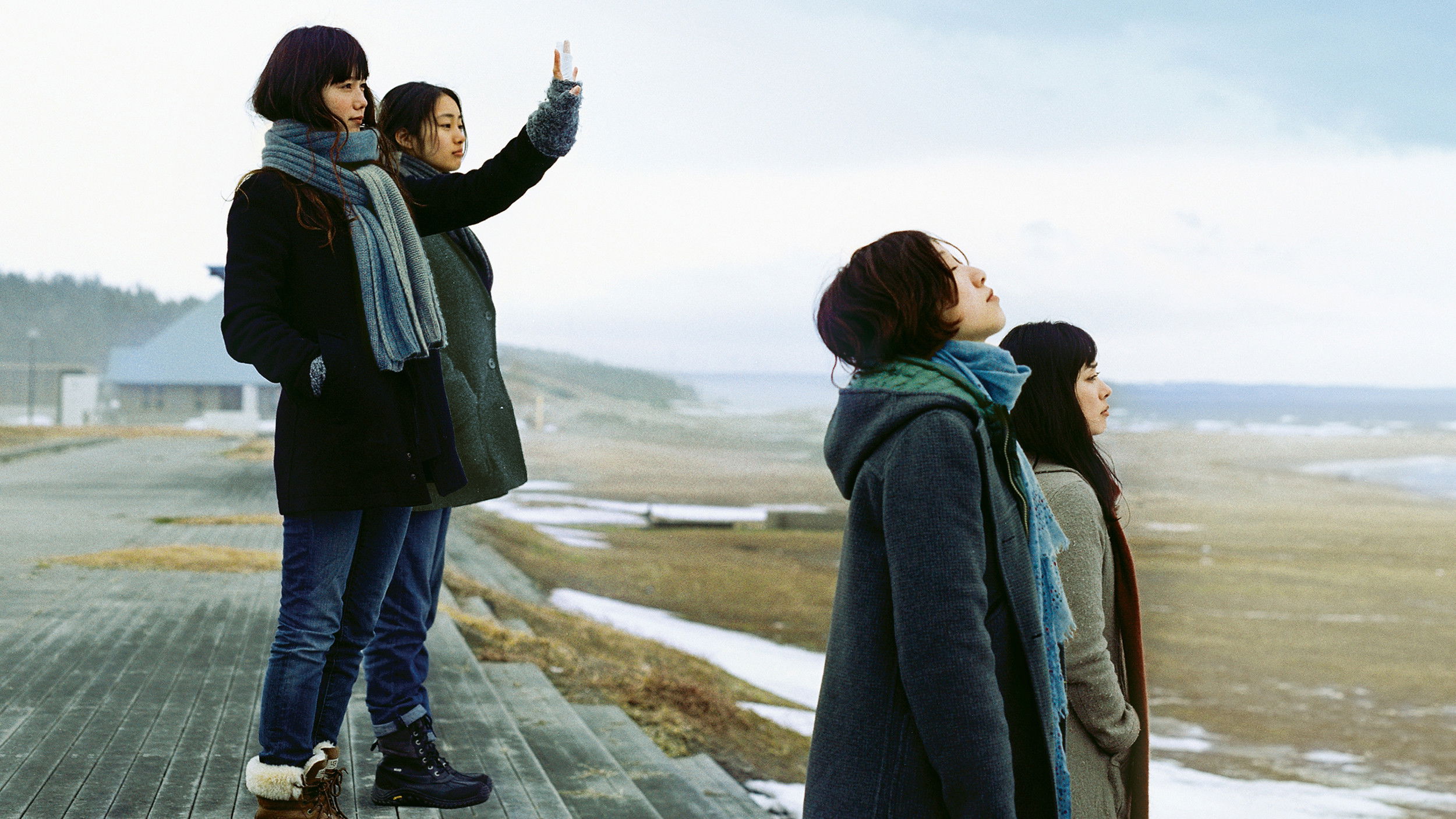 Petal Dance Background