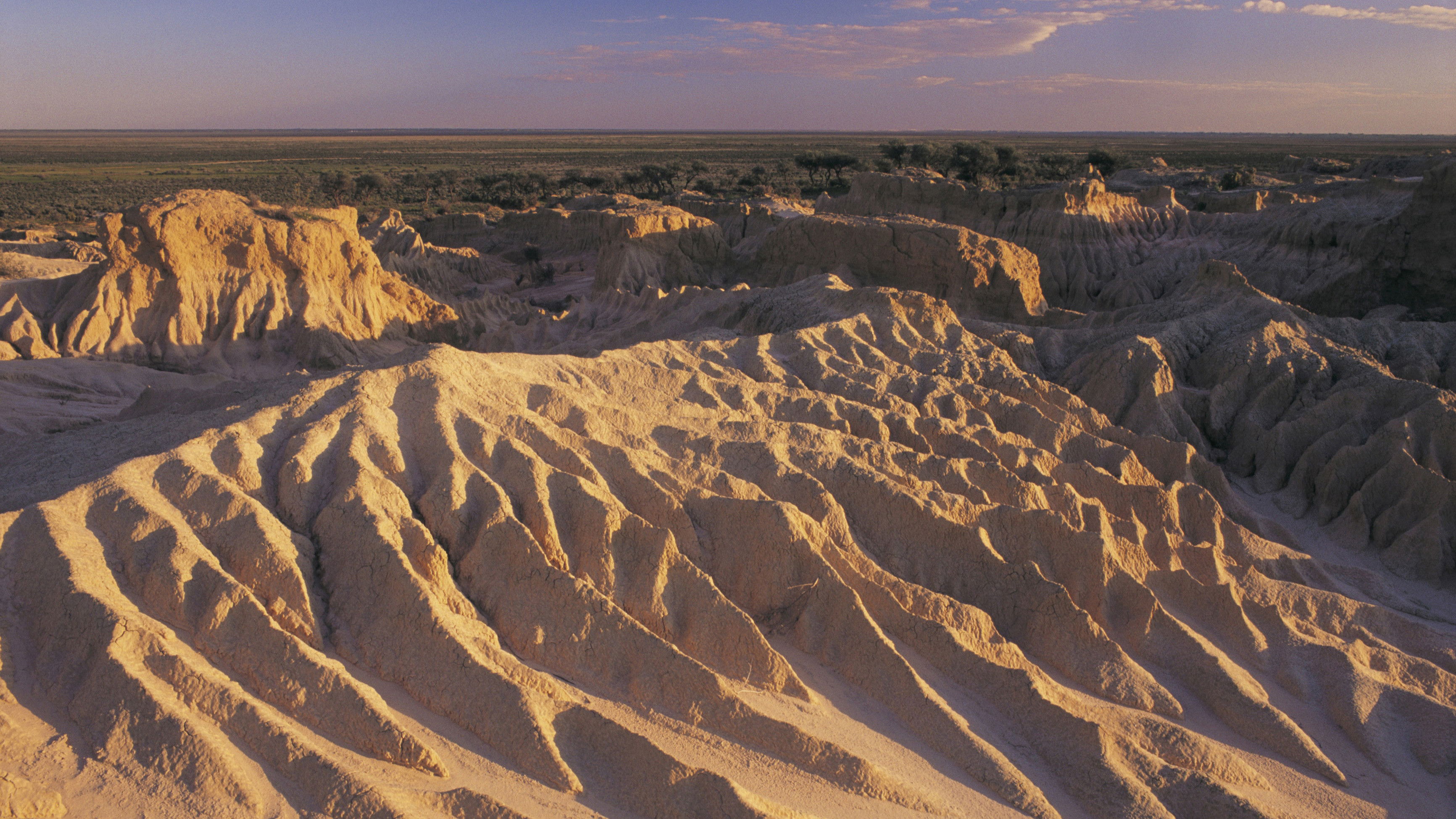 Message from Mungo Background