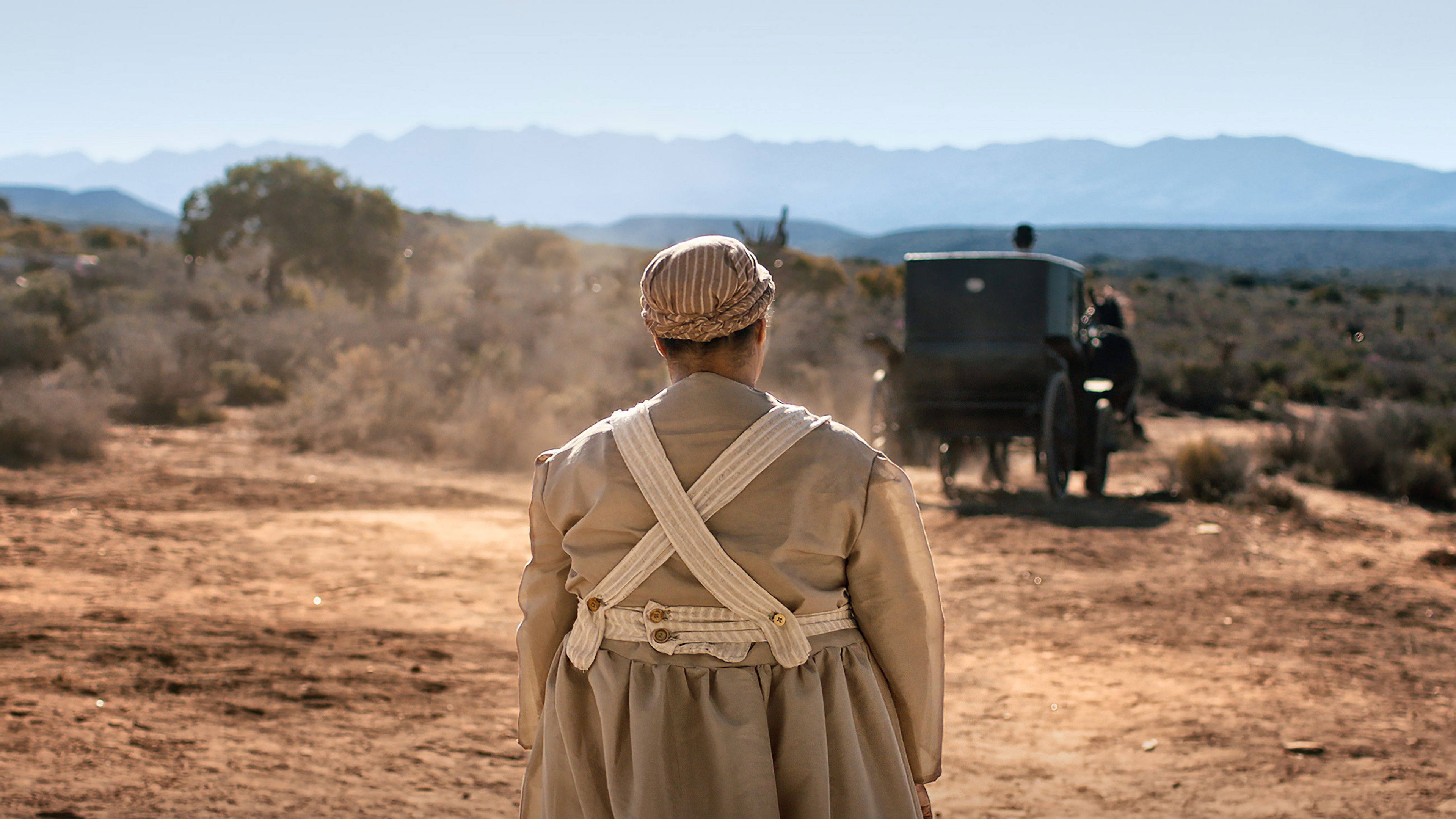 Fiela's Child Background