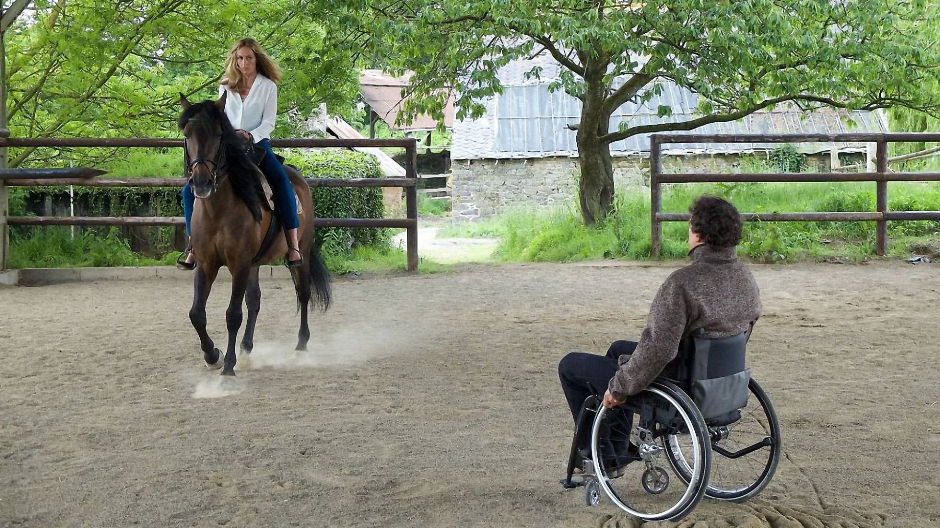 In Harmony Background