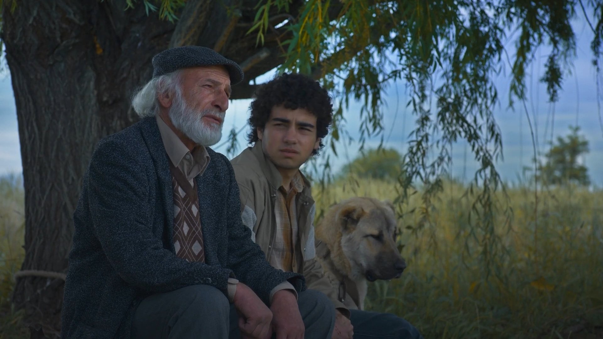 Island Ararat Background