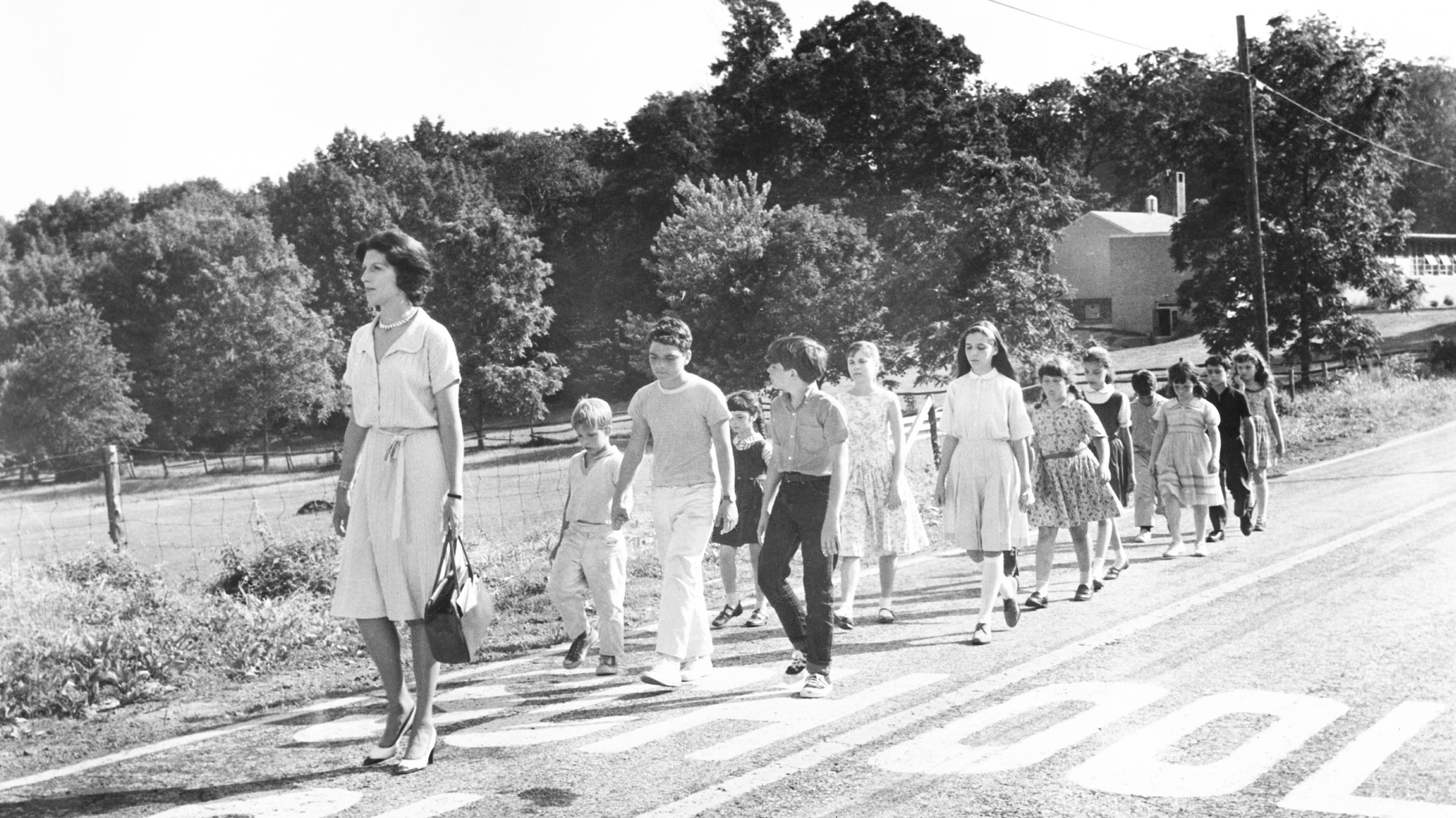 Ladybug Ladybug Background