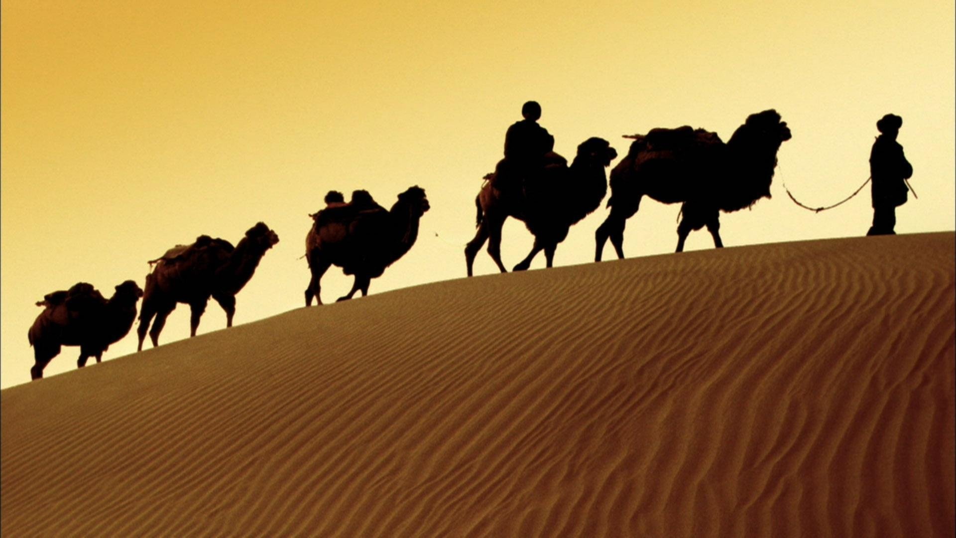 In the Footsteps of Marco Polo Background