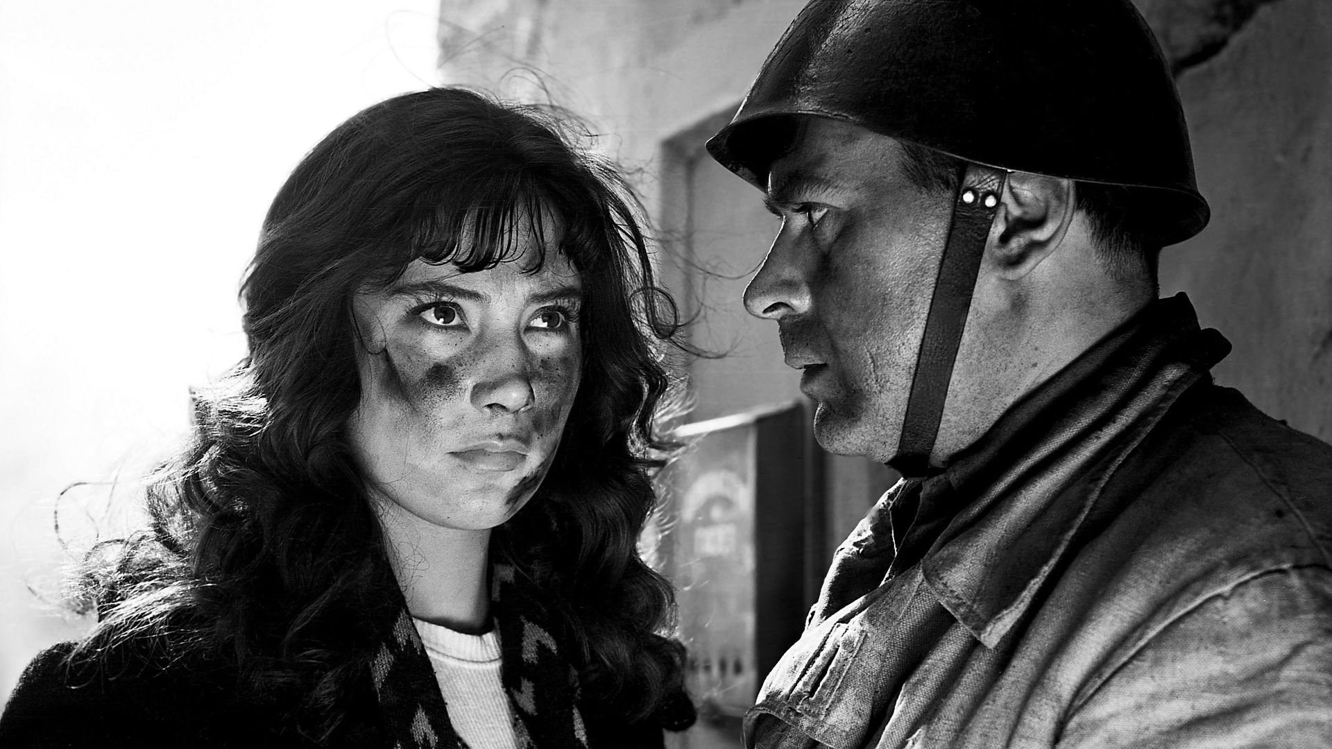 The Cranes Are Flying Background