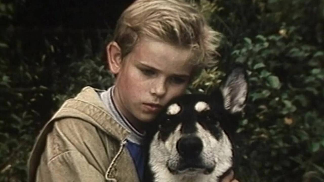 Little Fighter Background