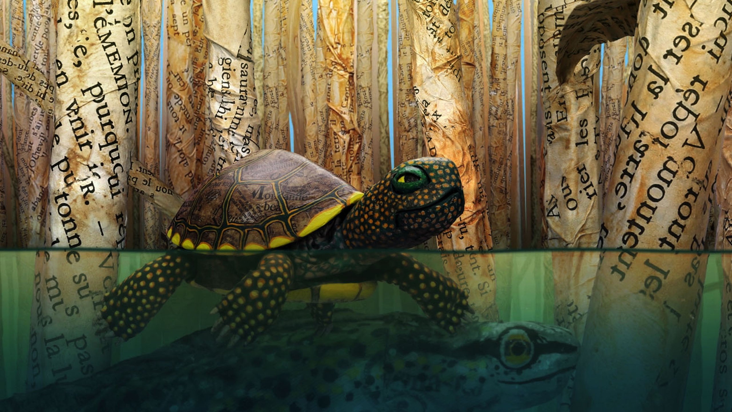 Hello World! Background