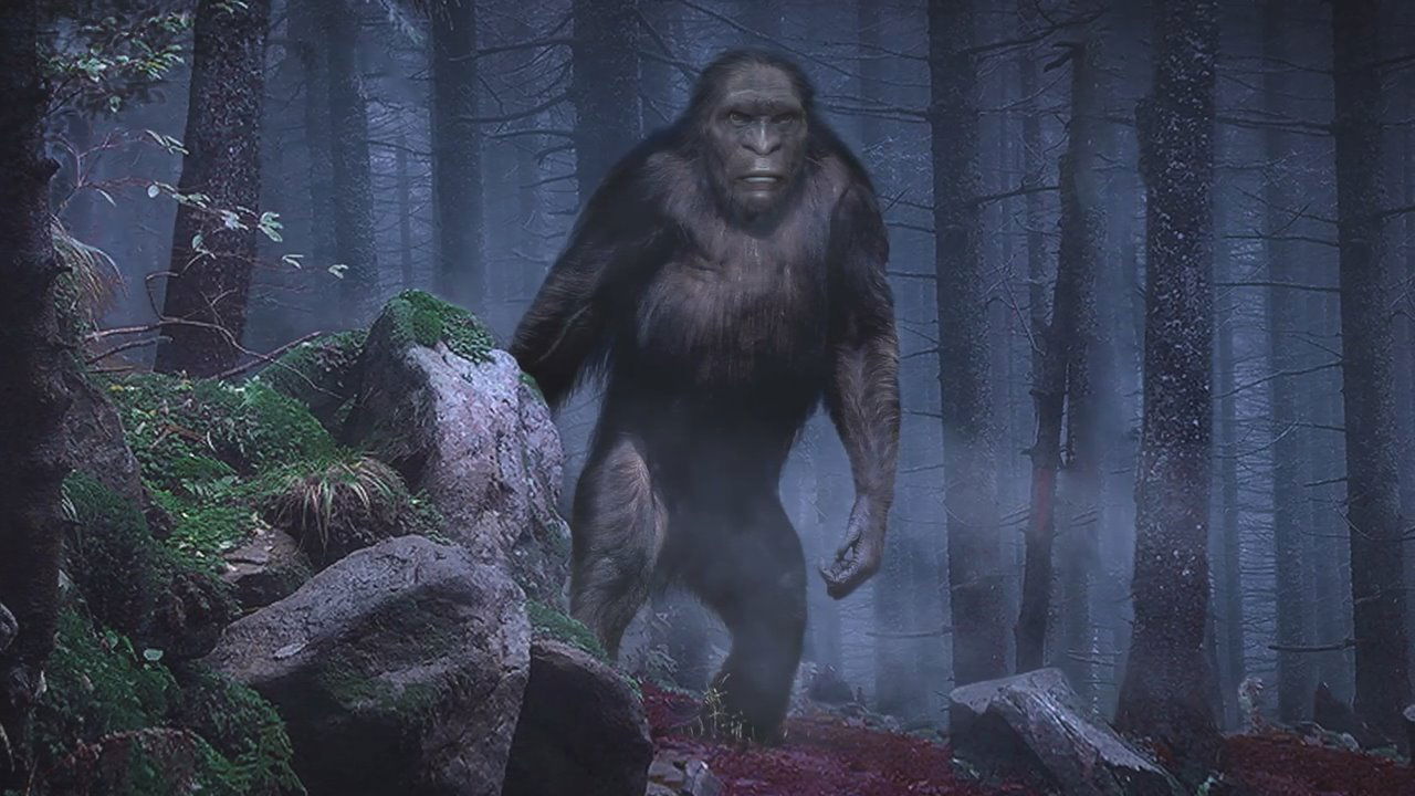 On the Trail of Bigfoot: The Discovery Background