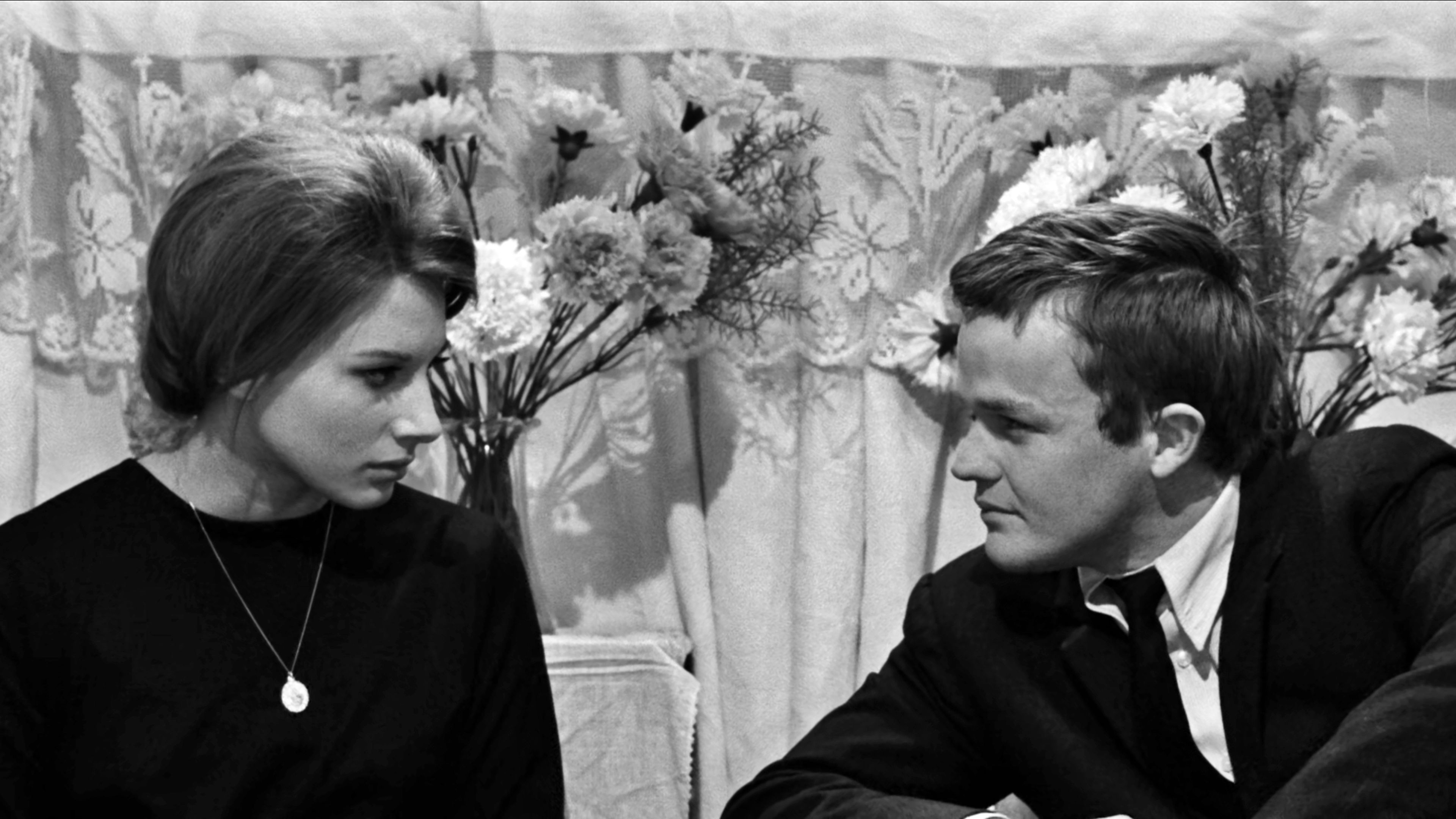 Fists in the Pocket Background